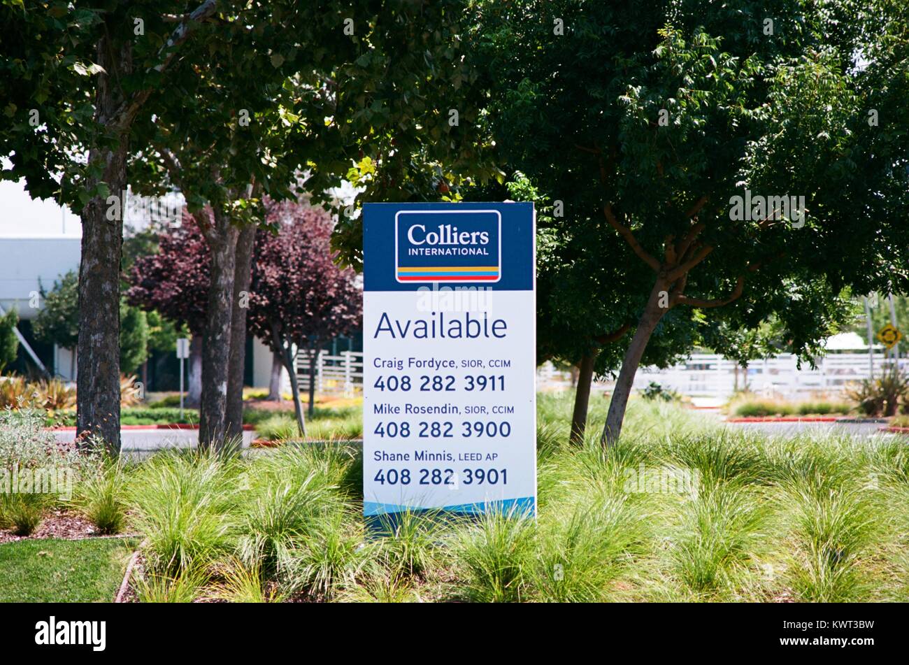 Signage from real estate developer Colliers International with text reading  'Available', advertising the availability of an office park for lease in  the Silicon Valley, Santa Clara, California, August 17, 2017. Silicon Valley
