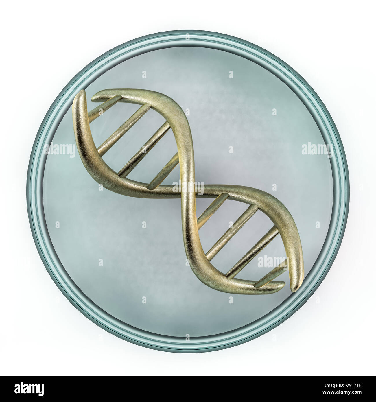 Dna Fragment Image Standard of fragment of human DNA. 3D rendering Stock Photo - Alamy