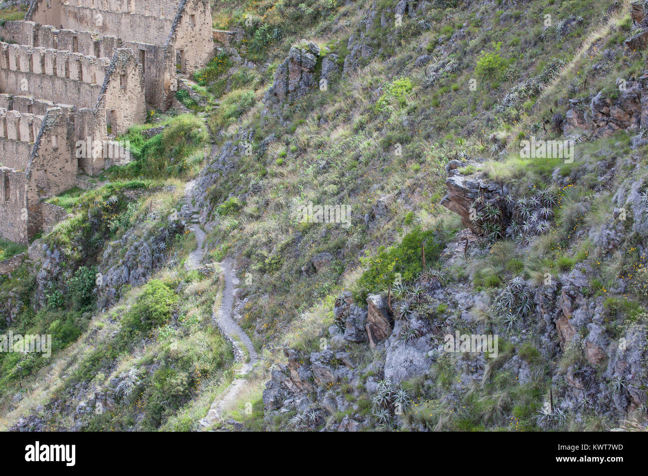 Steep old trail leading to ruins of Pinkuylluna (an ancient Incan granary) outside of the town of Ollantaytambo, Peru. Stock Photo