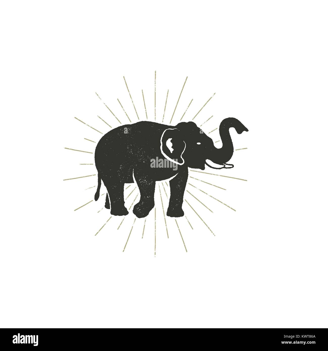 black and white elephant icon black and white elephant icon