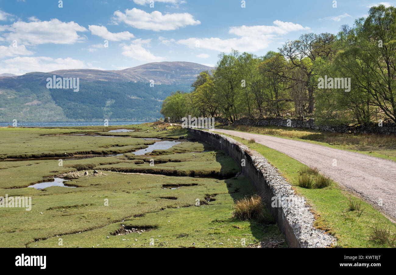 A single track country road runs alongside salt marsh at Inverscaddle in the West Highlands of Scotland. Stock Photo