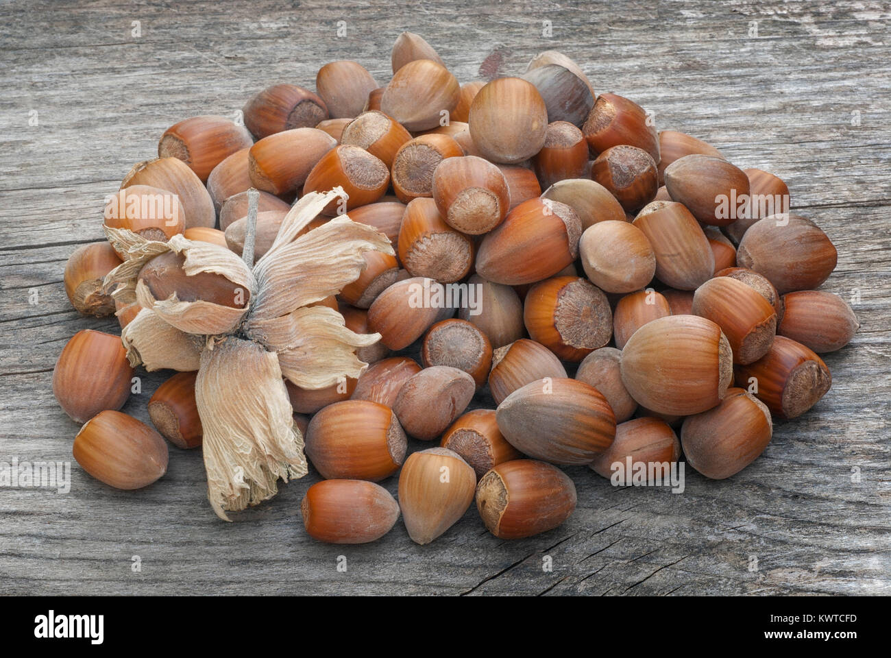 Hazelnuts on wooden table, fruit of hazel (Corylus avellana), tree