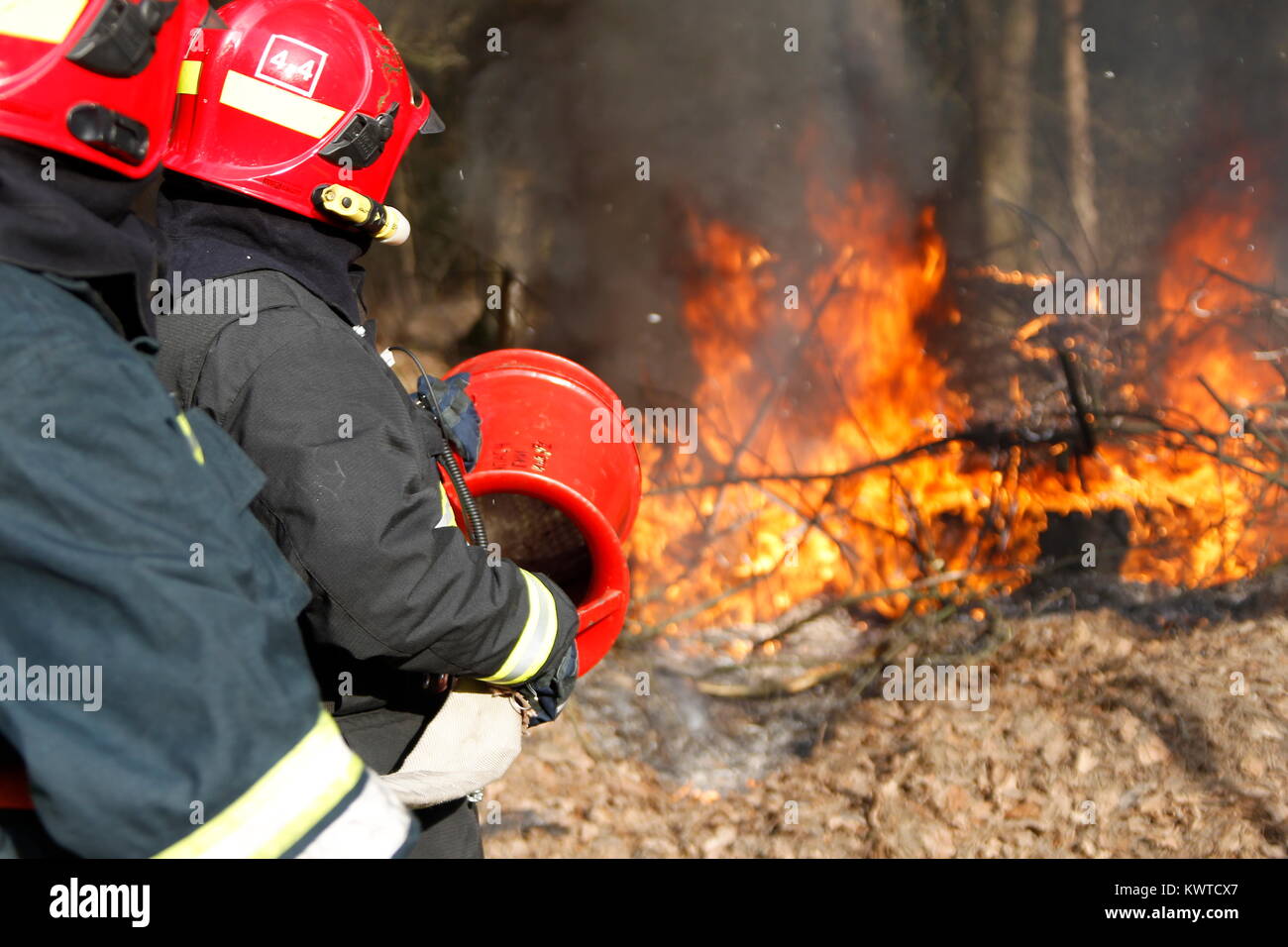 Two firemen extinguish forest fire.Extinguish the fire. Work