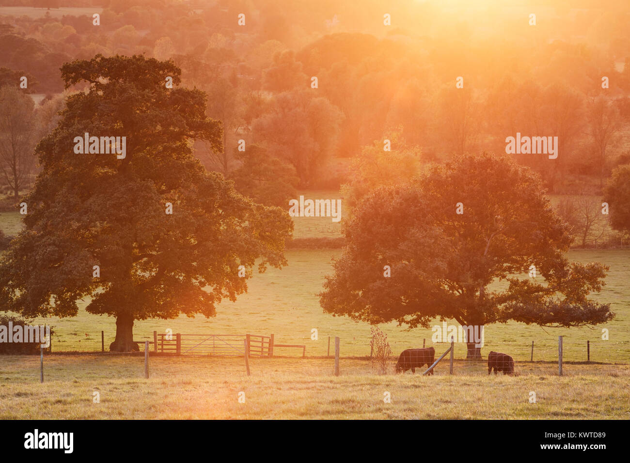 Sunset at Dedham Vale on the Essex / Suffolk border, England Stock Photo