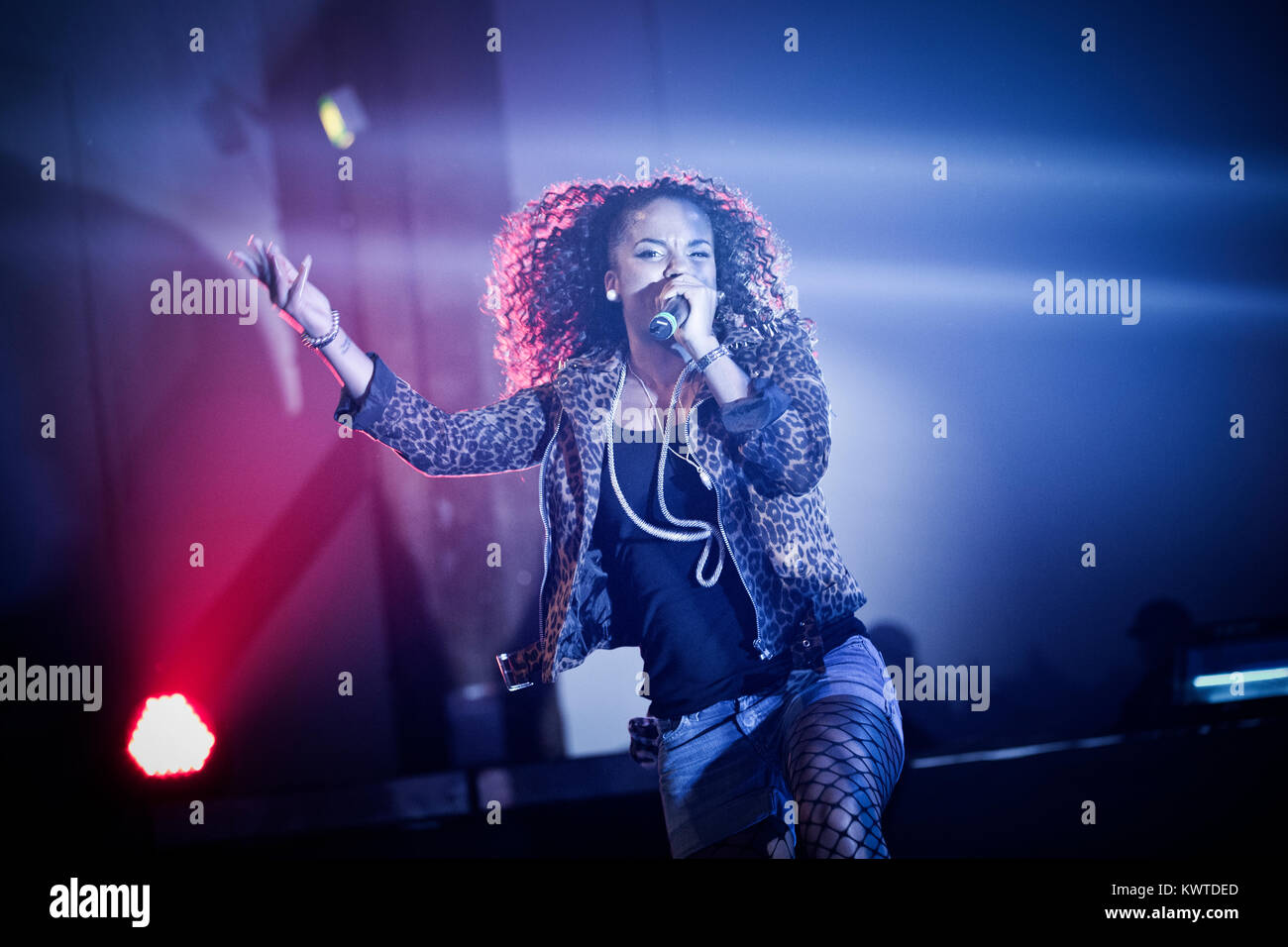 Den grå hal hi-res stock photography and images - Alamy