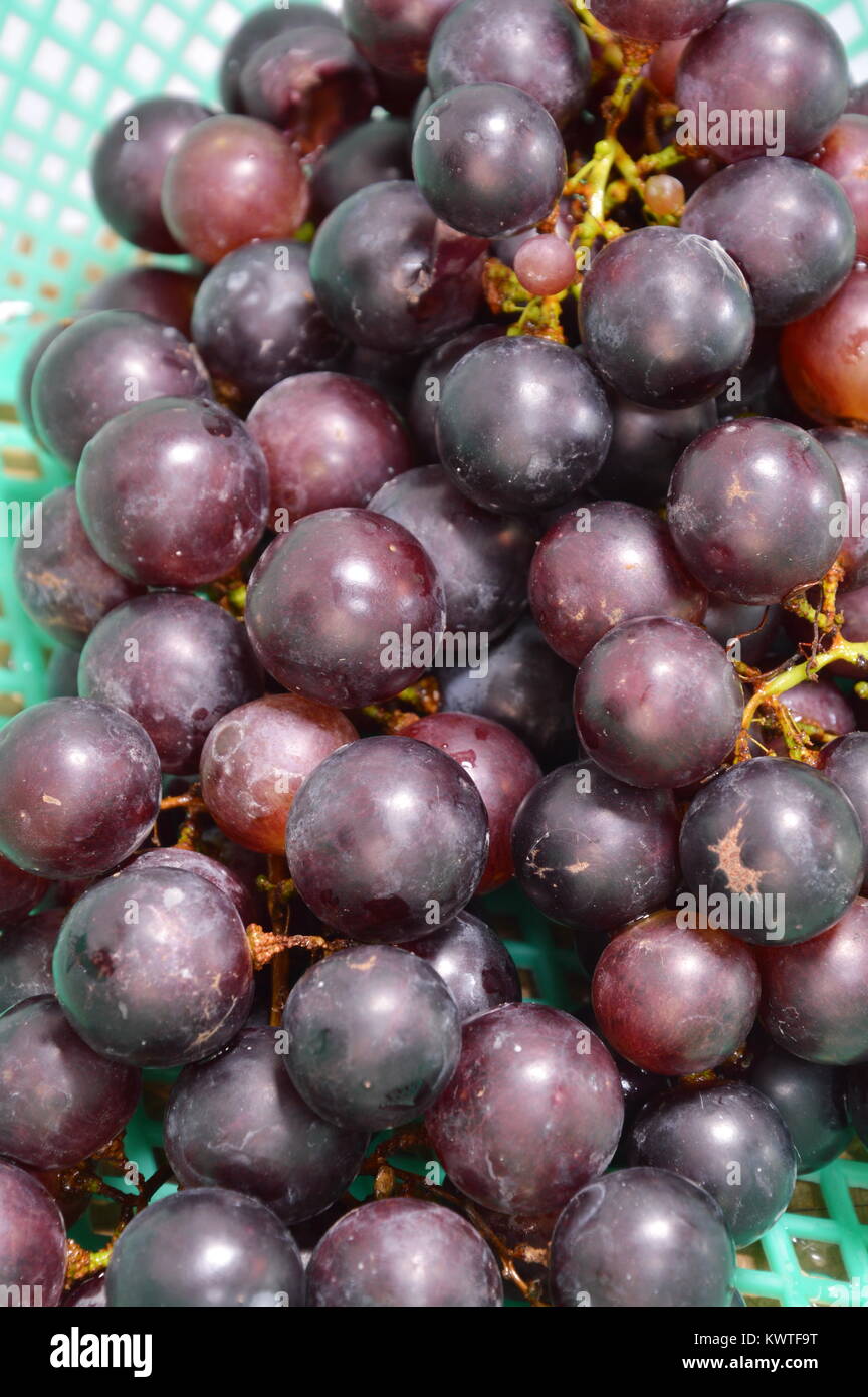 red grape in plastic basket Stock Photo