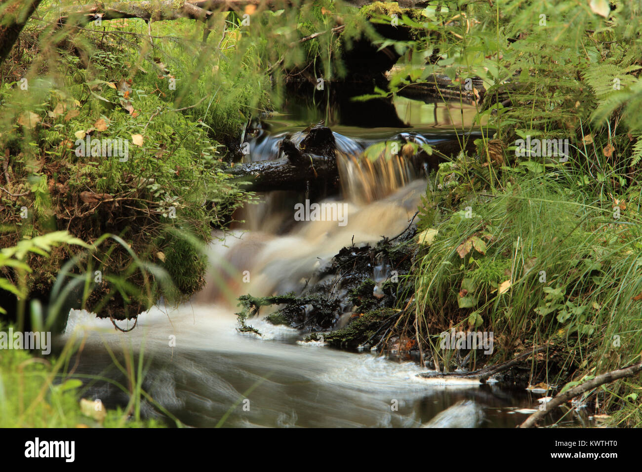 Gurgling stream rushing down a remote gorge in Euboea island, Greece Stock  Photo - Alamy