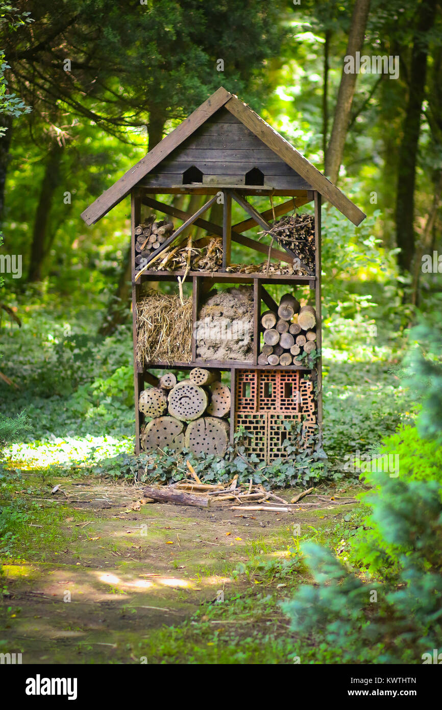House for insects in the dendrological park of Bazosu Nou, Timis County, Romania Stock Photo