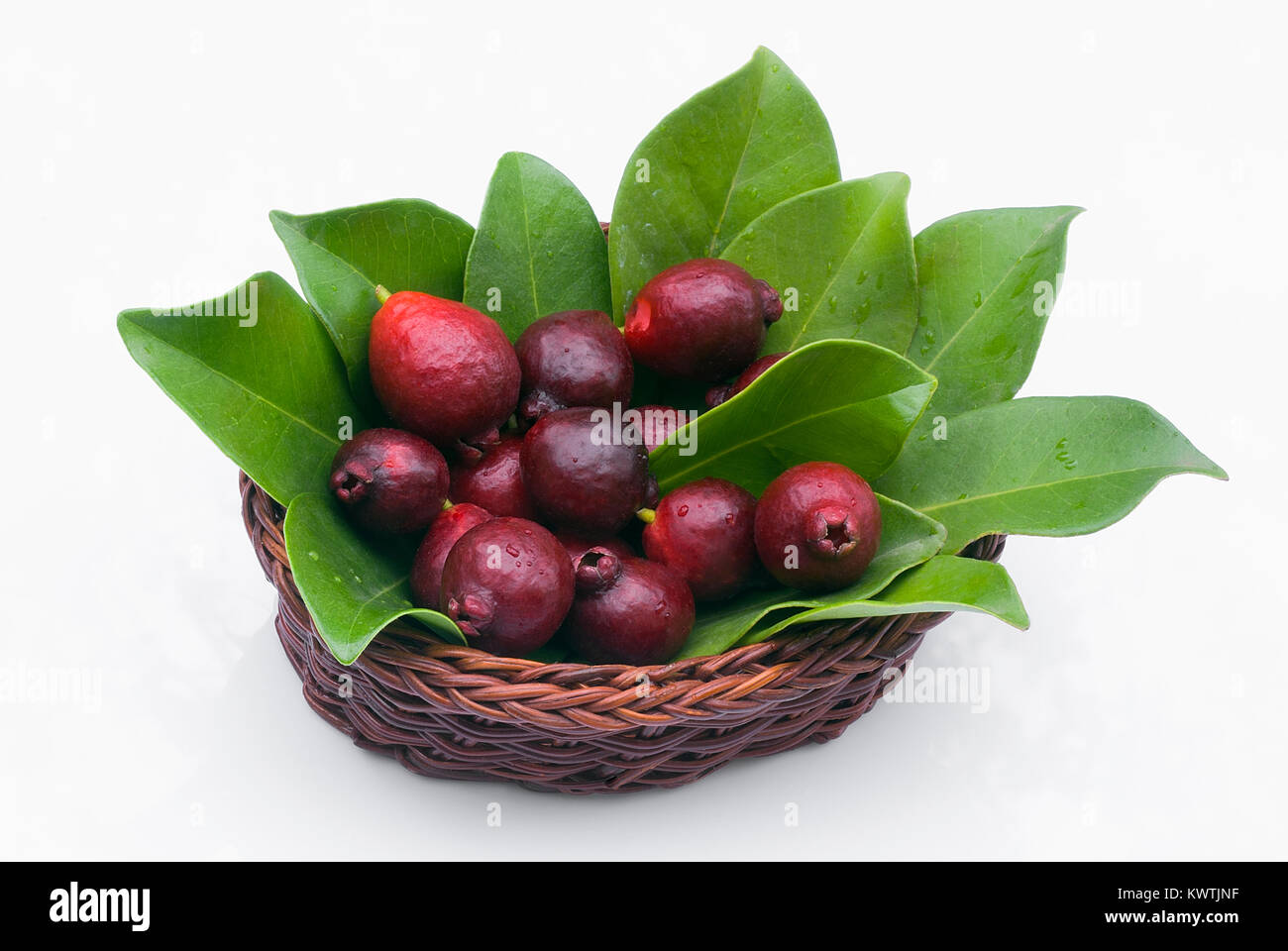 Cattley guava (Psidium littorale subsp. longipes) or Peruvian guava or Red Cherry Guava or Strawberry guava or Psidium cattleianum or Psidium chinense Stock Photo