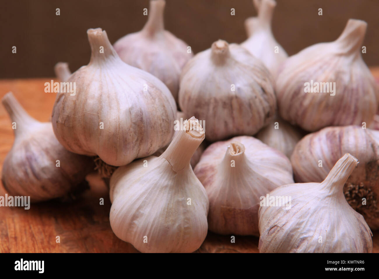 close up of aromatic garlic small group Stock Photo