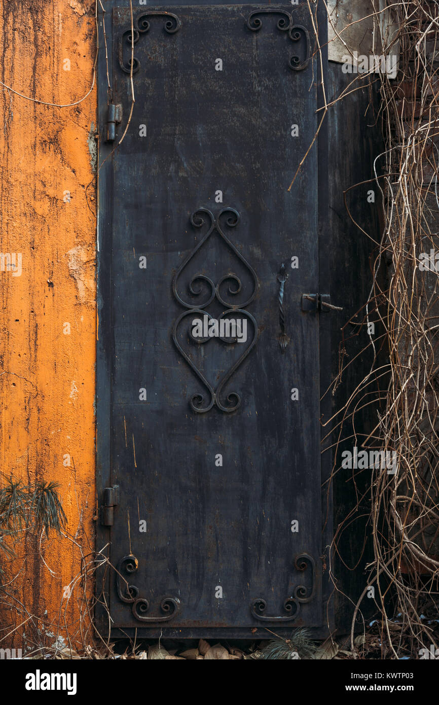 Old iron door Stock Photo Alamy