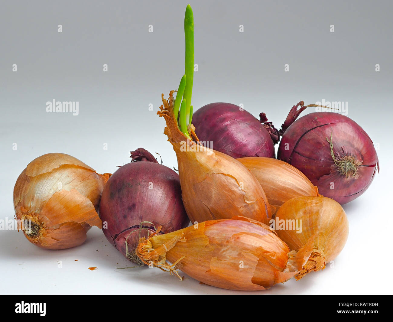 Shoot up sprout hi-res stock photography and images - Alamy