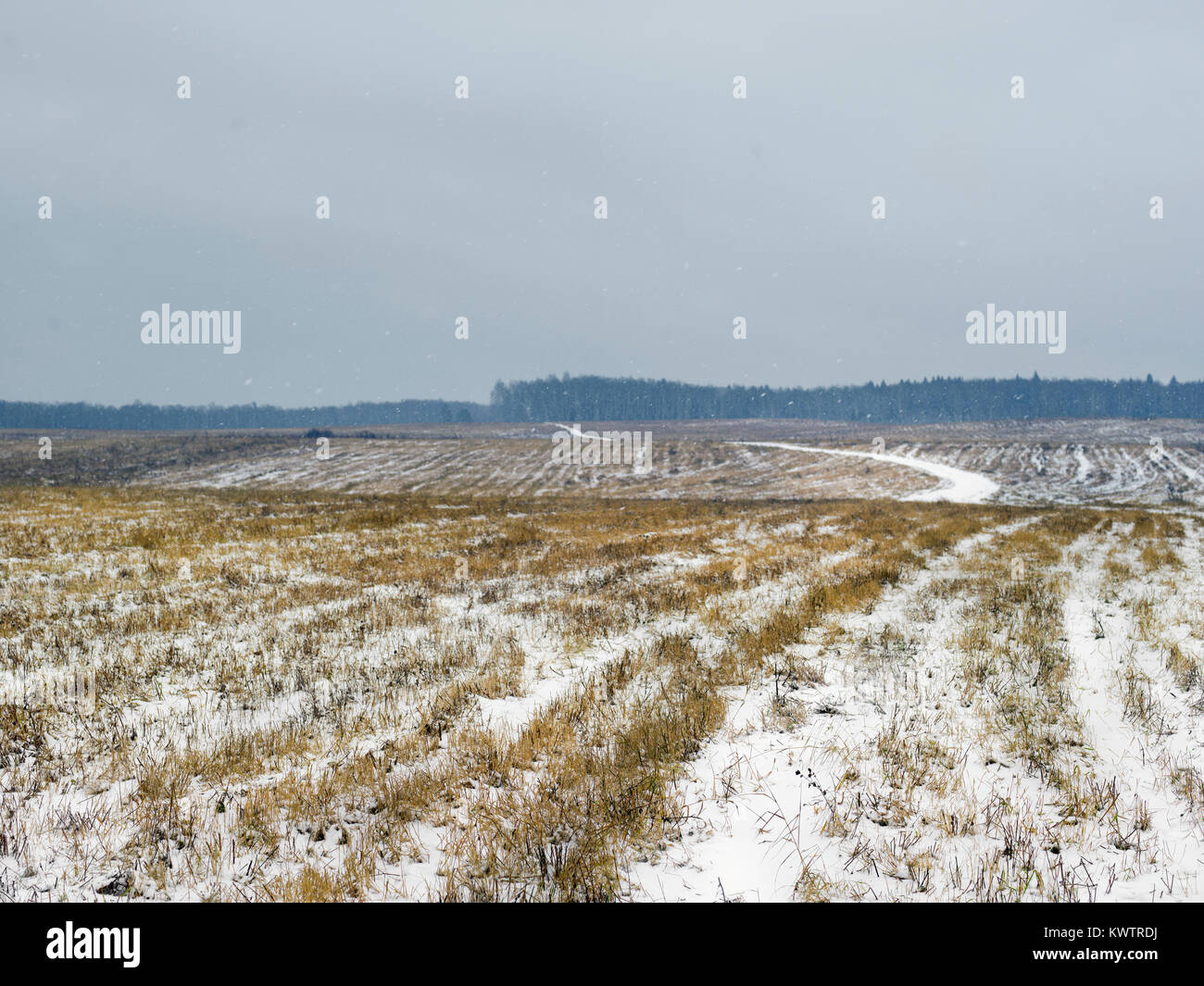 Snow covering agriculture land, daytime winter scene Stock Photo - Alamy