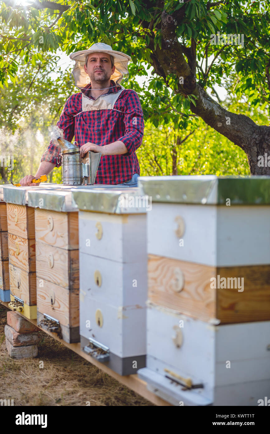 Beekeeper standing behind beehives holding smoking pot and looking at camera Stock Photo