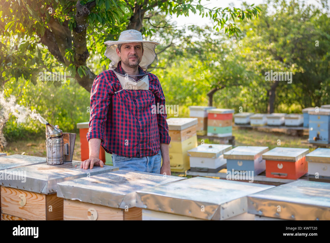 Beekeeper standing behind beehives looking at camera Stock Photo