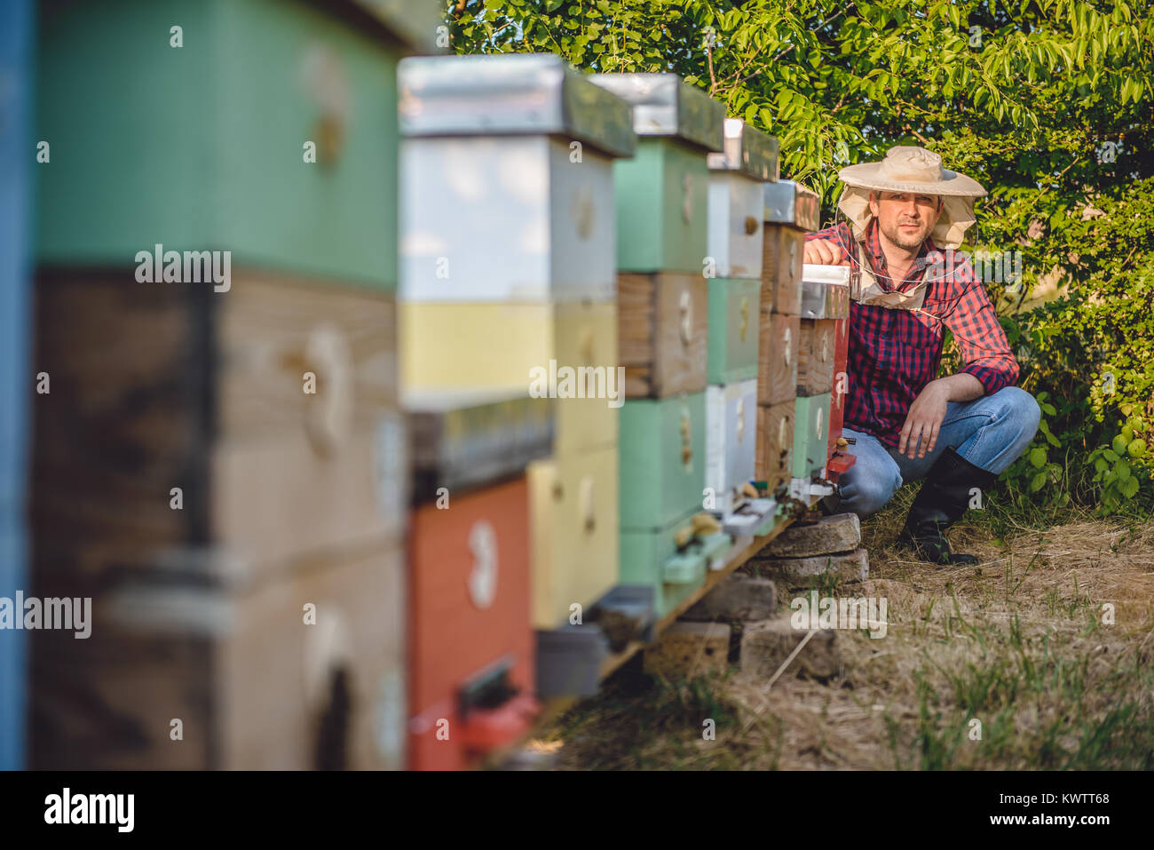 Beekeeper wearing protective hat posing next to his beehives Stock Photo
