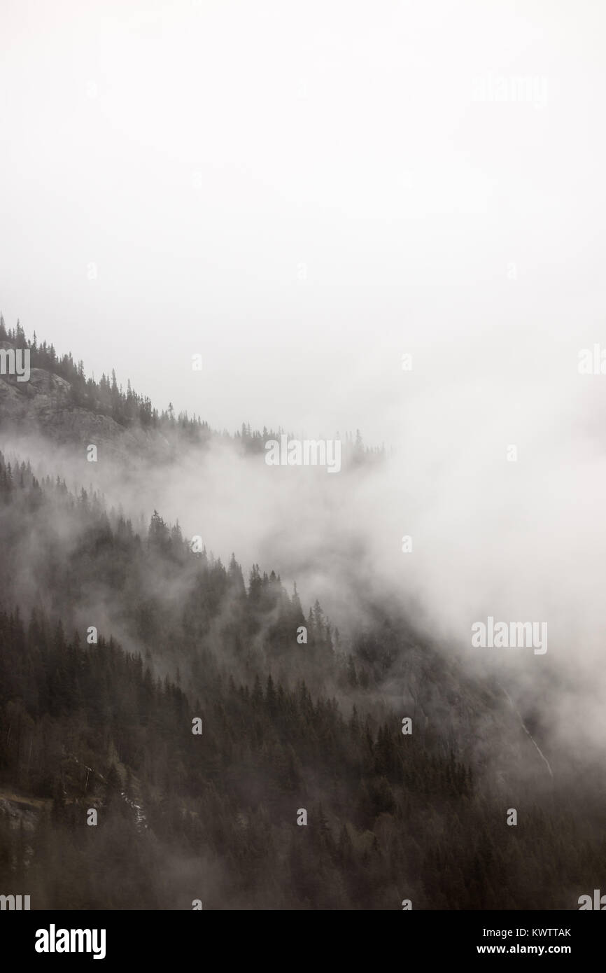 Dense fog and clouds covering forested mountain slope in Norway. Stock Photo