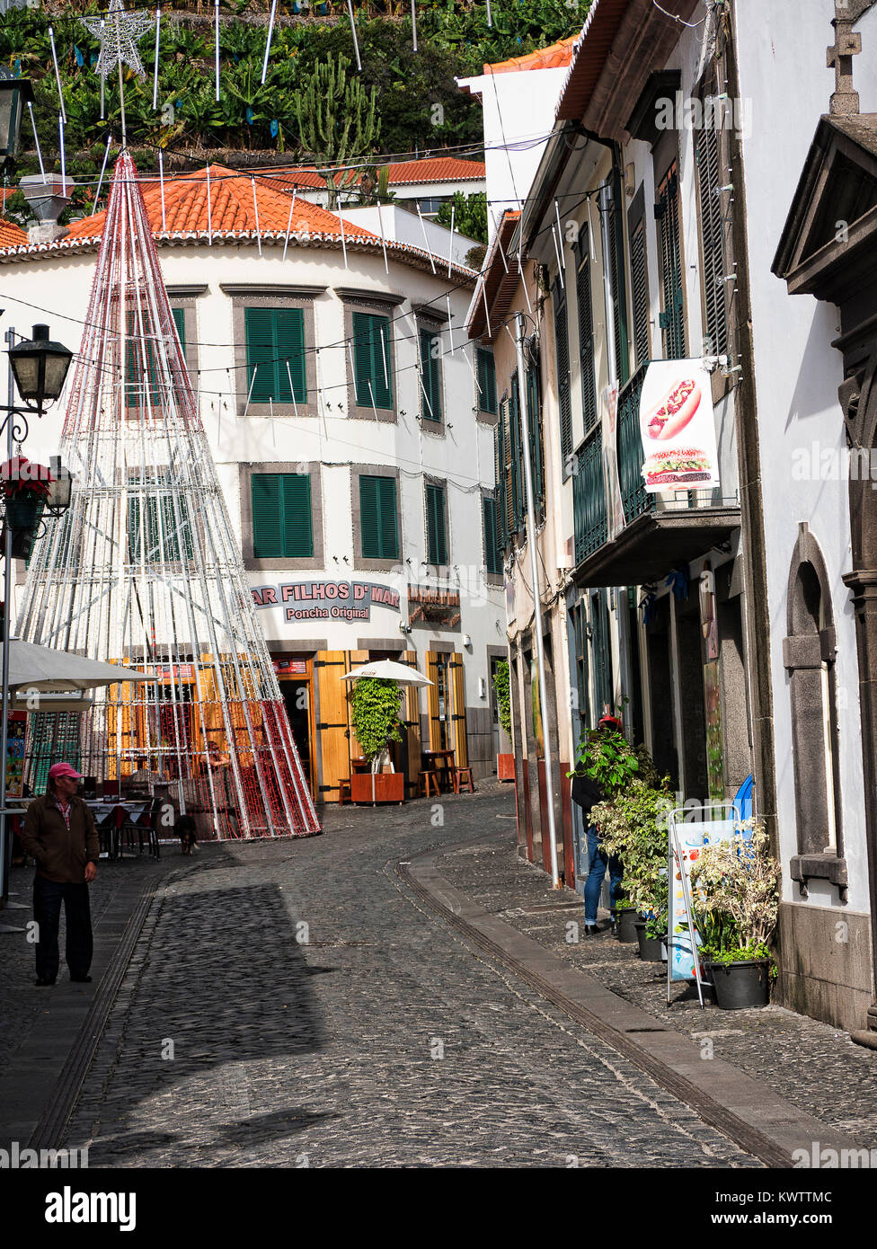Camara de Lobos a fishing village near the city of Funchal Madeira has