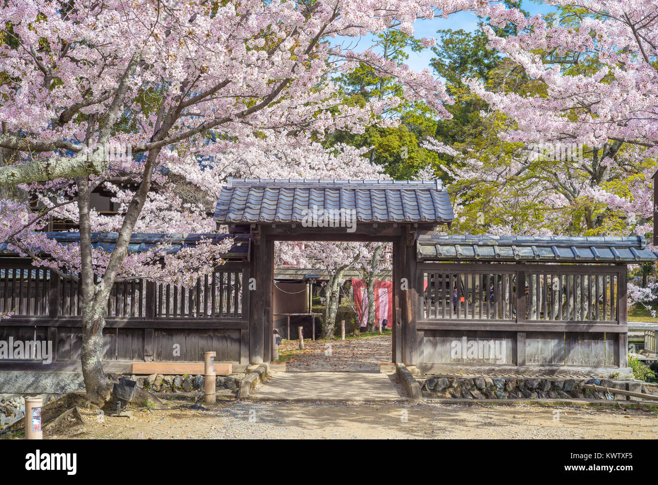 Daikaku-ji Temple at arashiyama, kyoto, japan Stock Photo