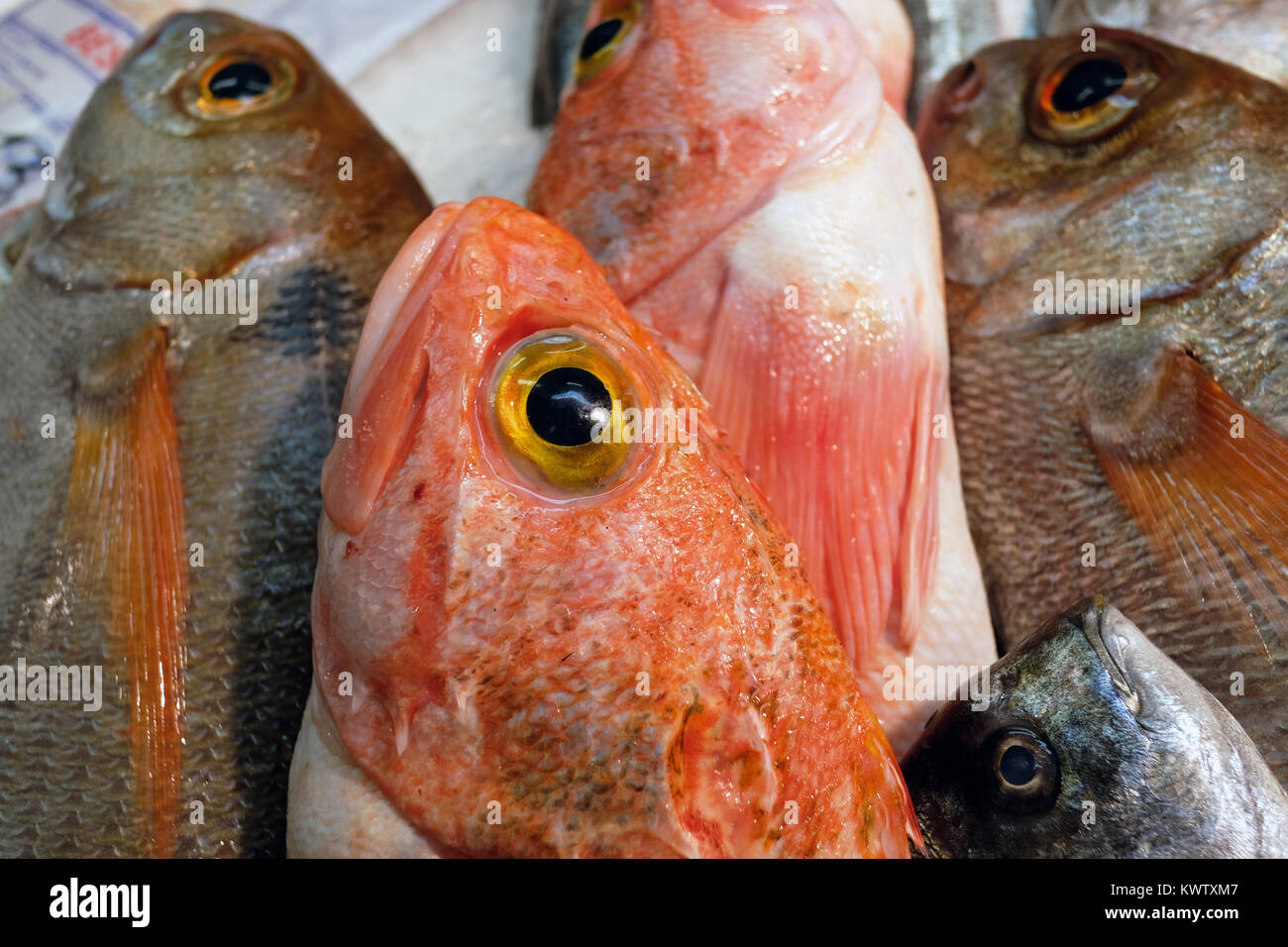 Red fish on sale at the indoor market in Lisbon, Portugal Stock Photo