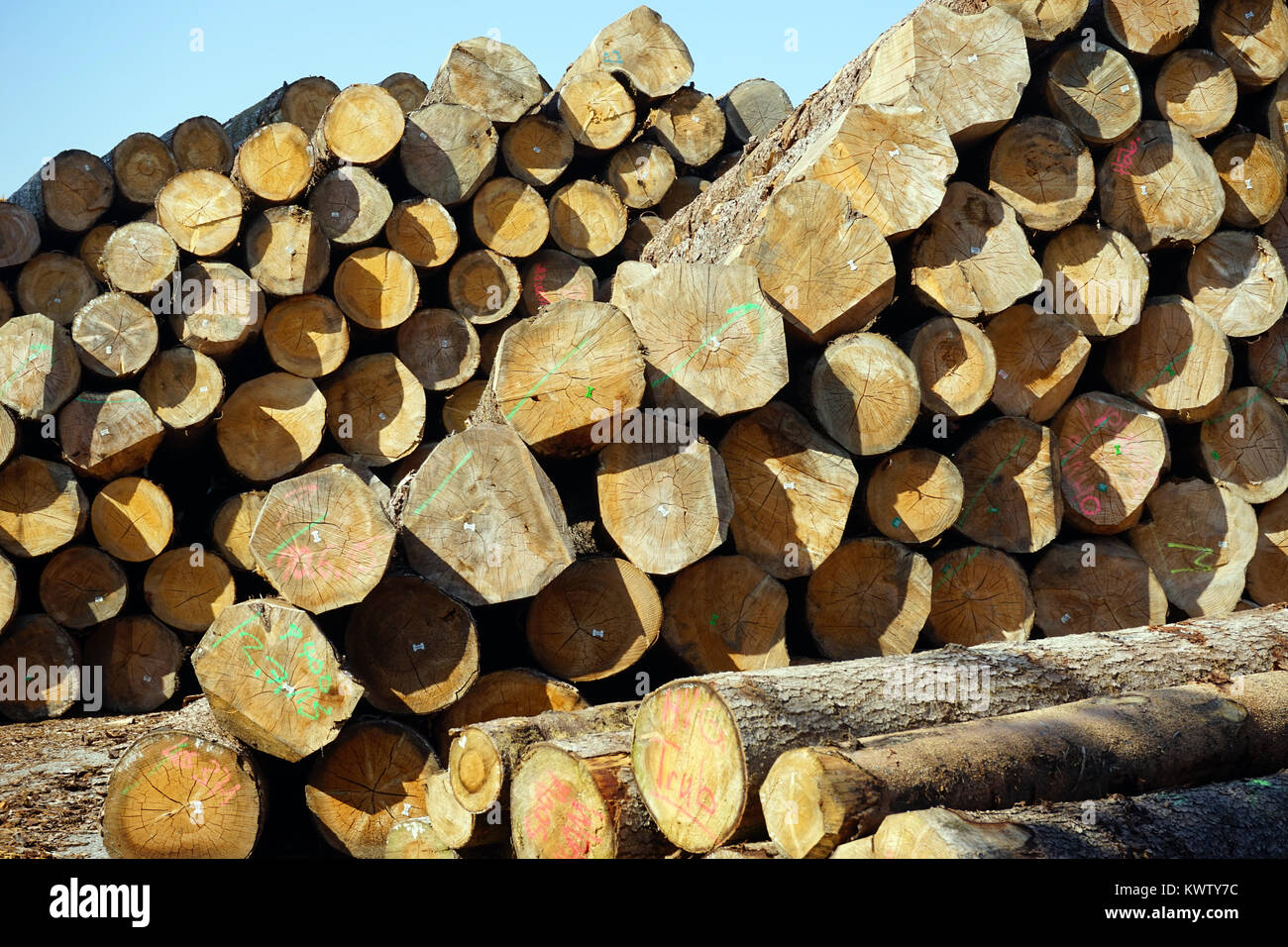 Heap of timber in storage in Switzerland Stock Photo - Alamy