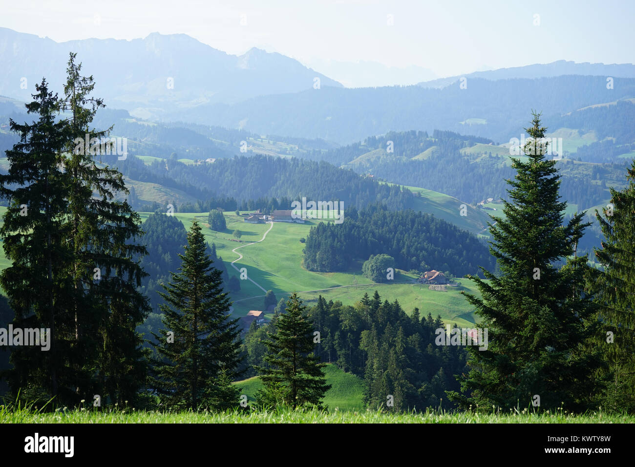 Green valley in rural area of Swiss Alps, Switzerland Stock Photo - Alamy