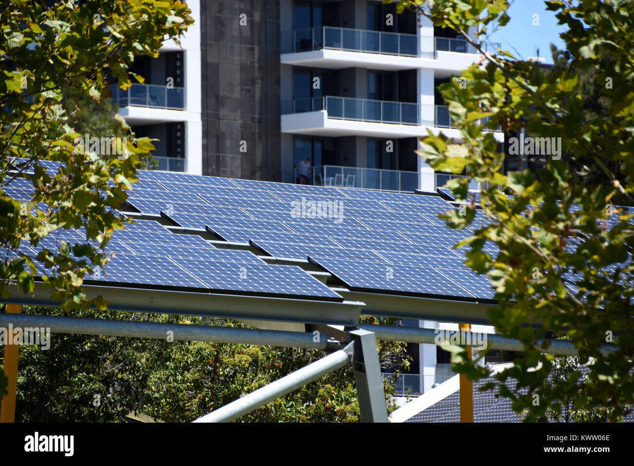 Solar Panel in between trees Stock Photo Alamy