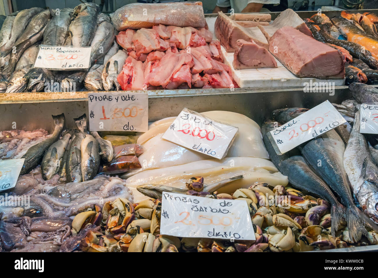 Fresh fish and seafood at the Mercado Central in Santiago, Chile Stock Photo
