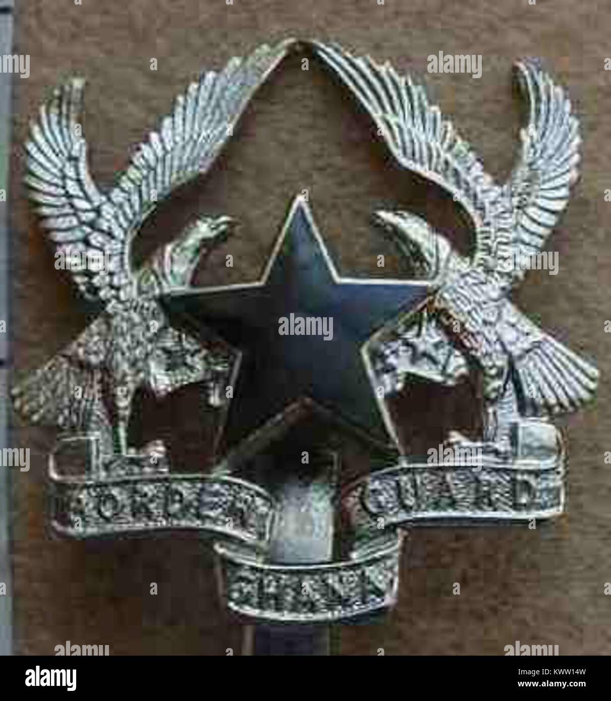 An emblem representing a Border Guard Unit (BGU), symbolizing military ...