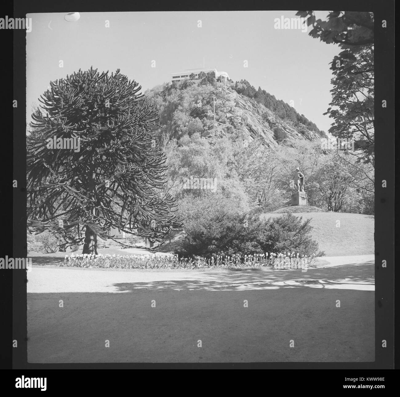 Path in park sea Black and White Stock Photos & Images - Alamy