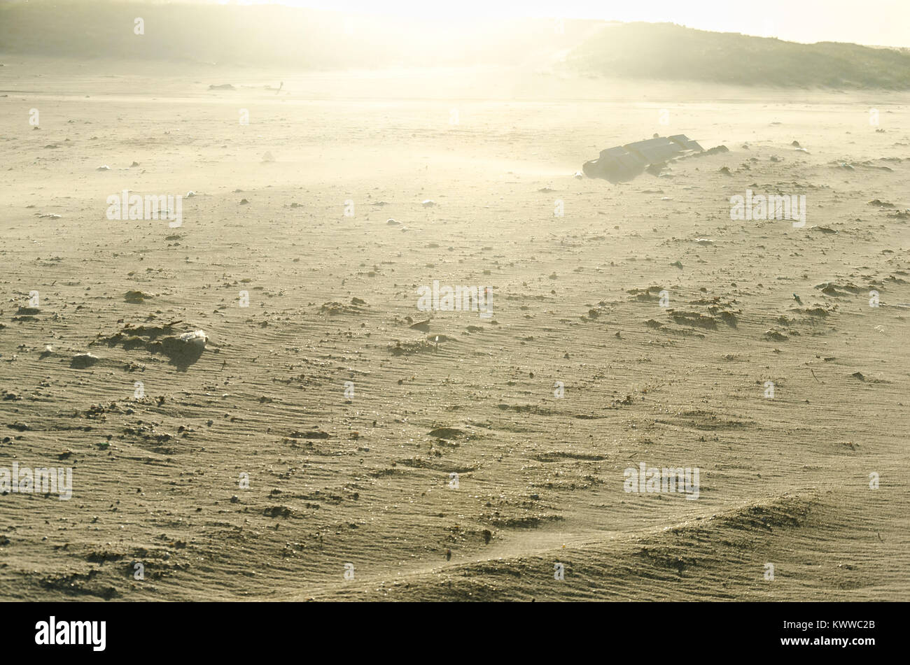 Crazy alien landscape beach terrain that look like a other planet Stock Photo