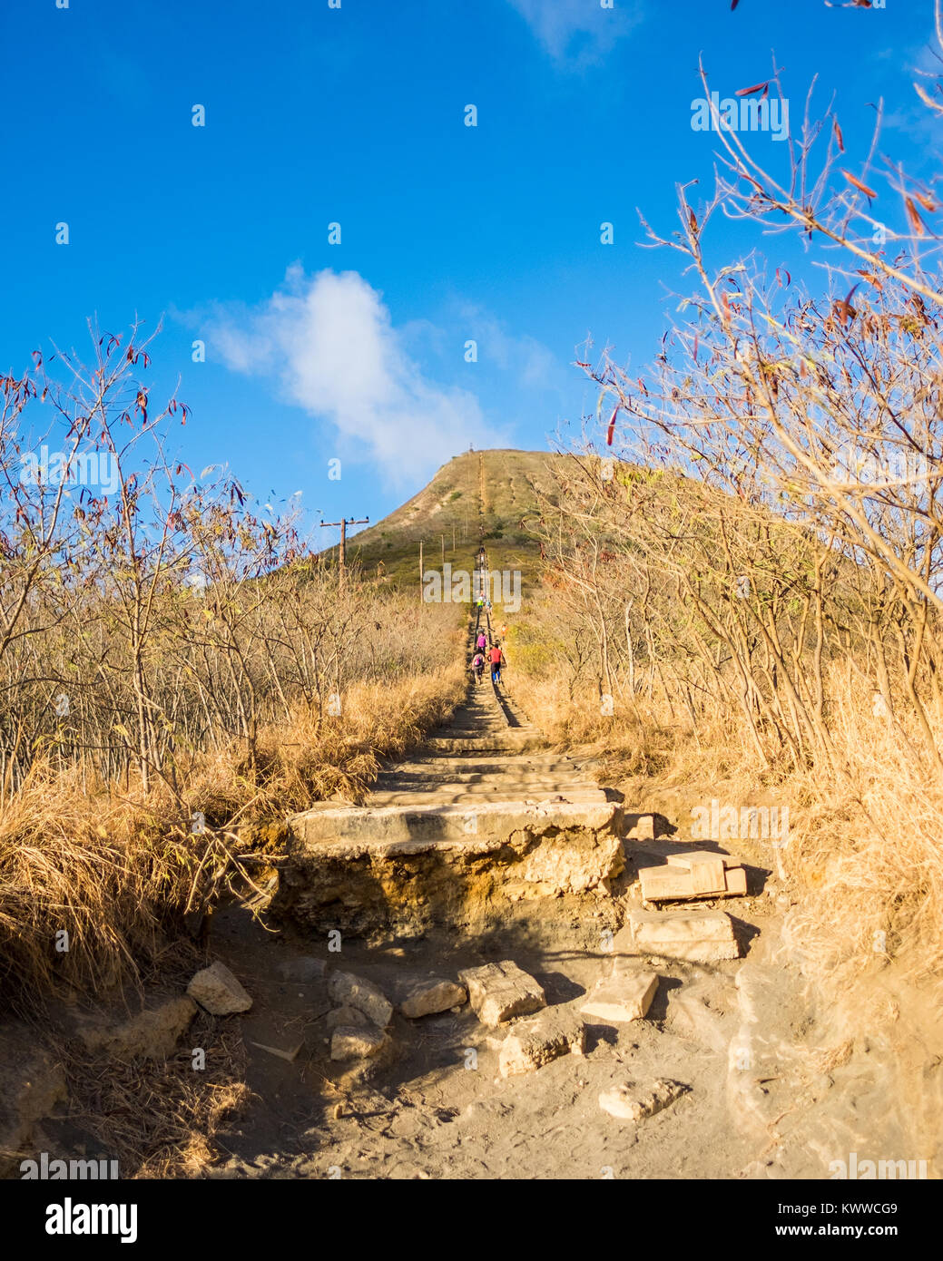 Oahu island diamond head koko head hi-res stock photography and images ...