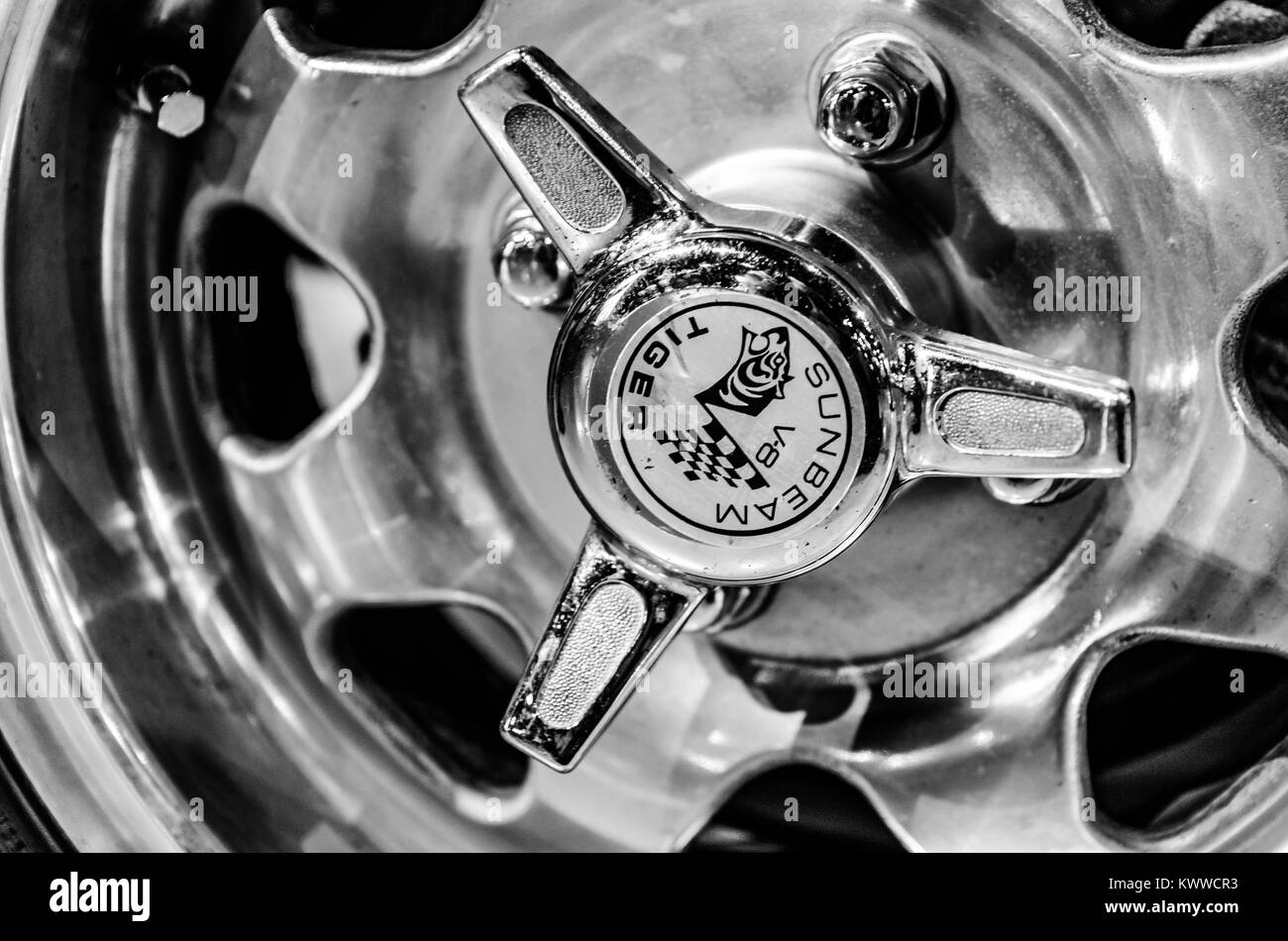 Sunbeam tiger Black and White Stock Photos & Images Alamy