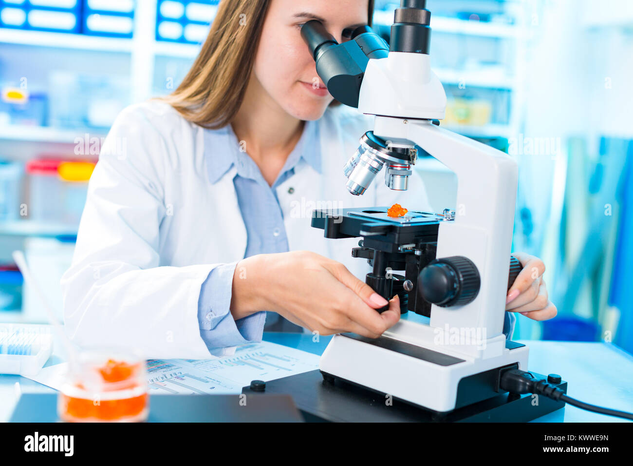 Fish caviar research in laboratory. Food Processing and Quality Control Fish Stock Photo Alamy