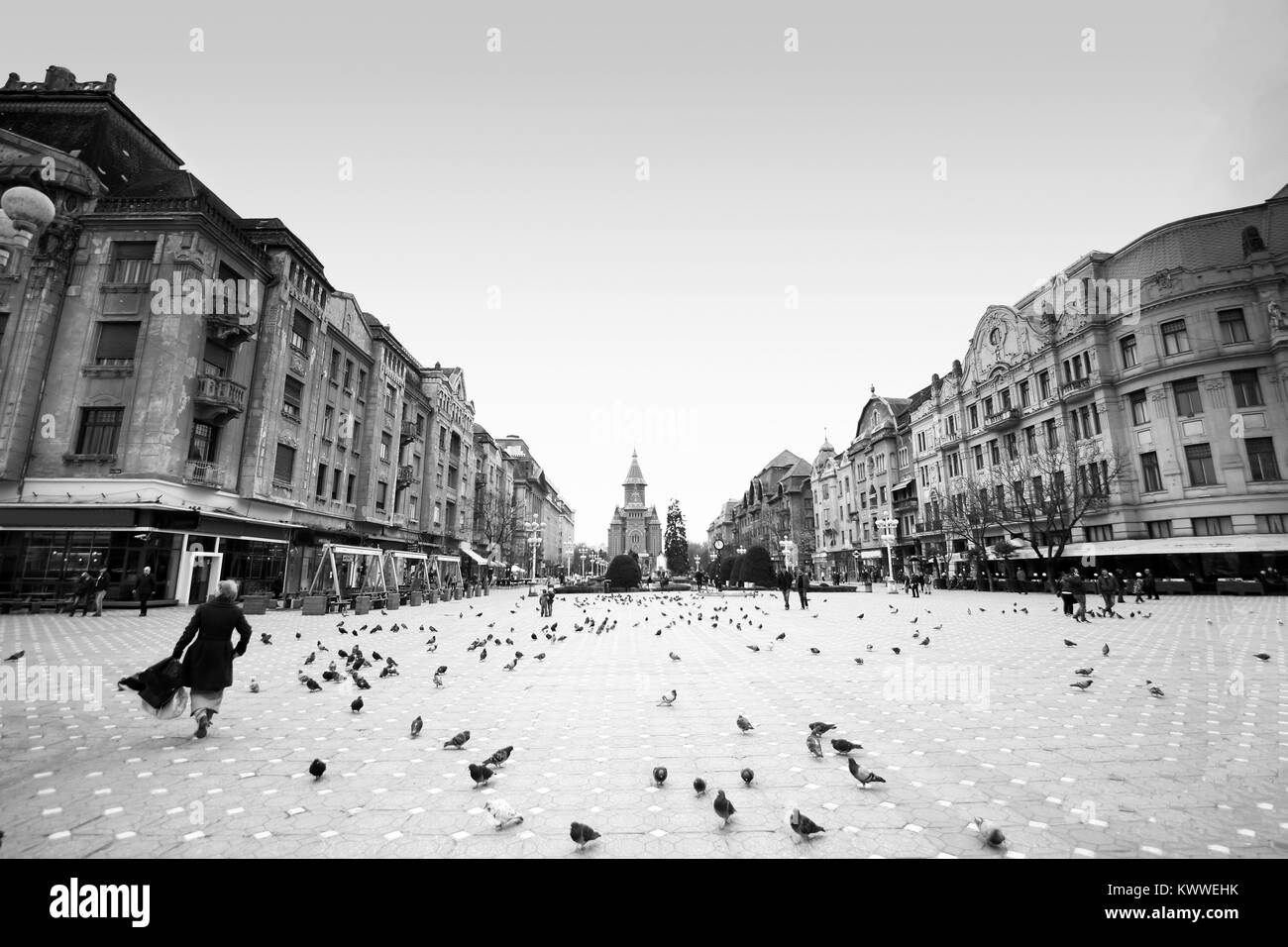 Timisoara, Romania - Piata Victoriei (Victory Square) with pigeons and pedestrians Stock Photo