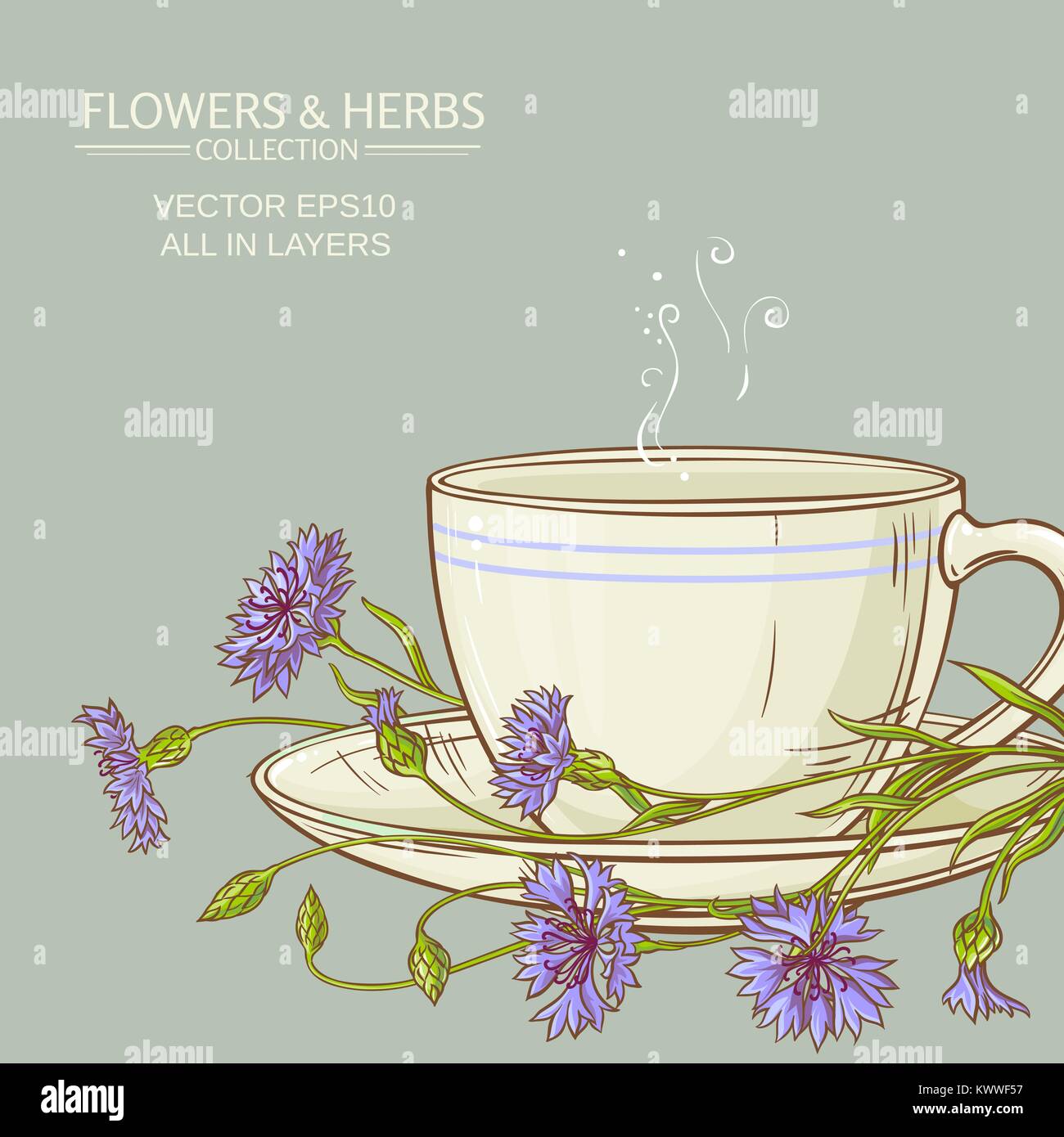 cup of cornflower tea on color background Stock Vector