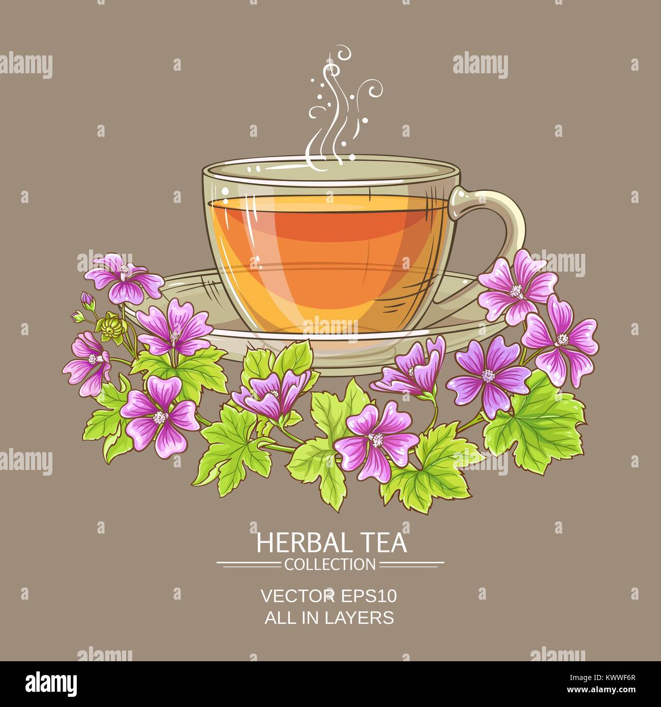 cup of malva tea on color background Stock Vector