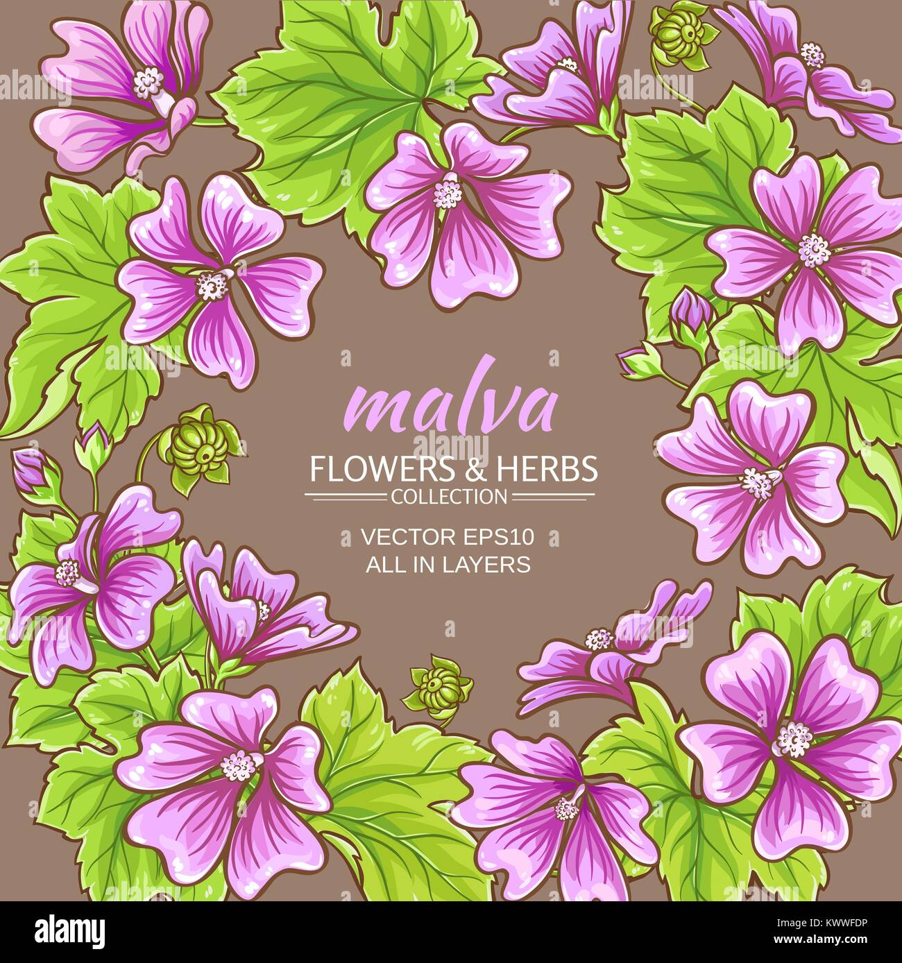 malva flowers vector frame on color background Stock Vector