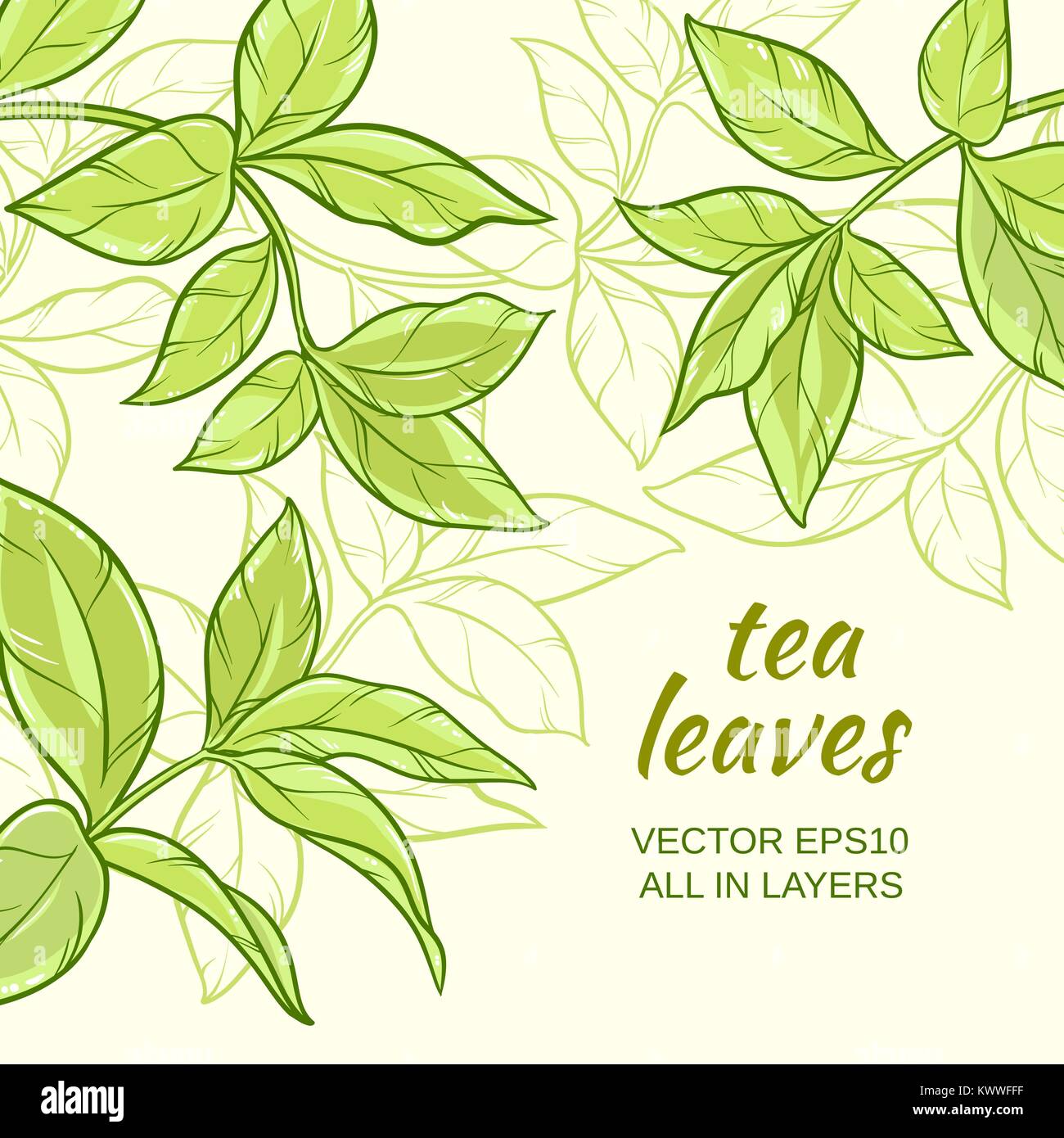 Illustration with green tea leaves on color background Stock Vector Image & Art Alamy