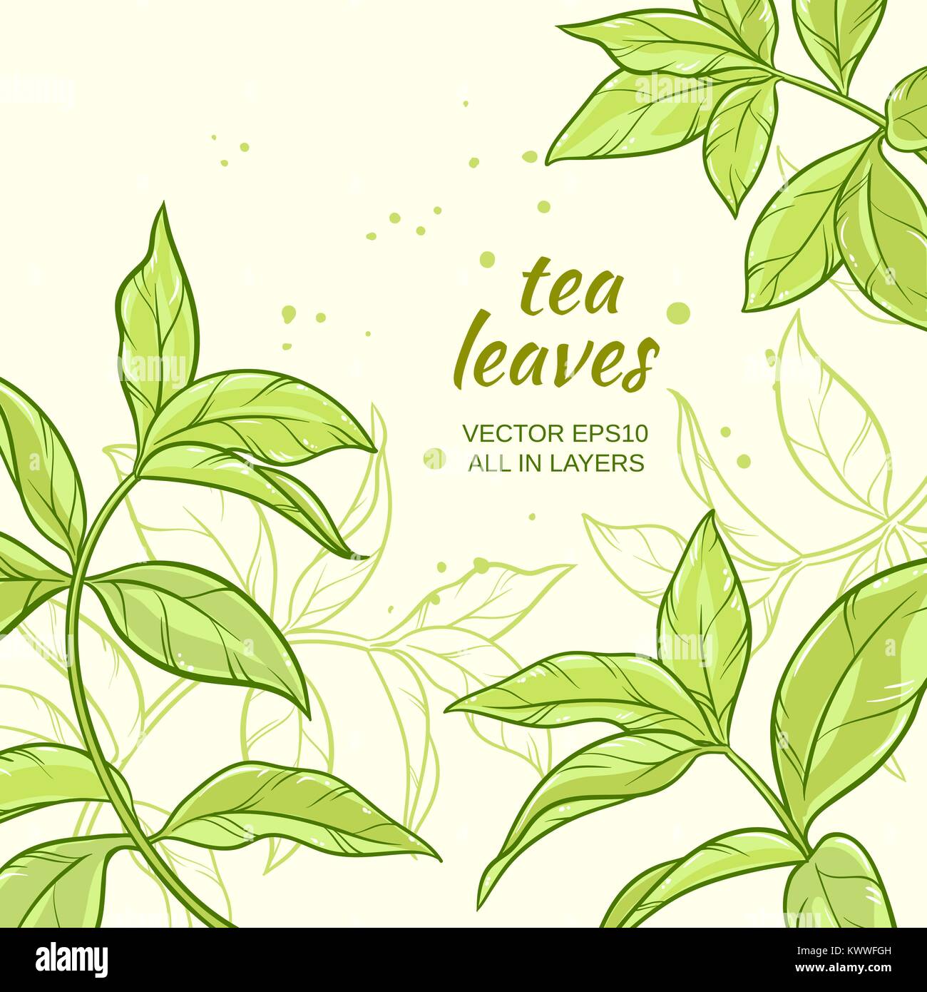 Illustration with green tea leaves on color background Stock Vector
