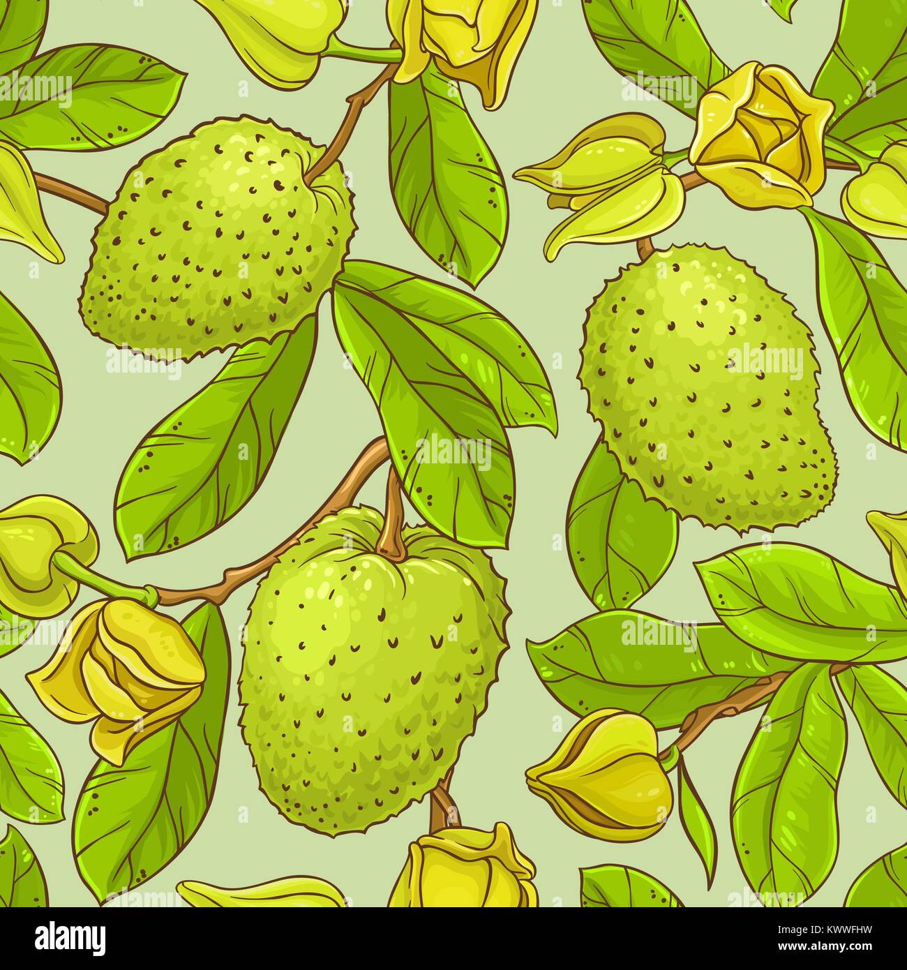 soursop vector seamless pattern on color background Stock Vector Image