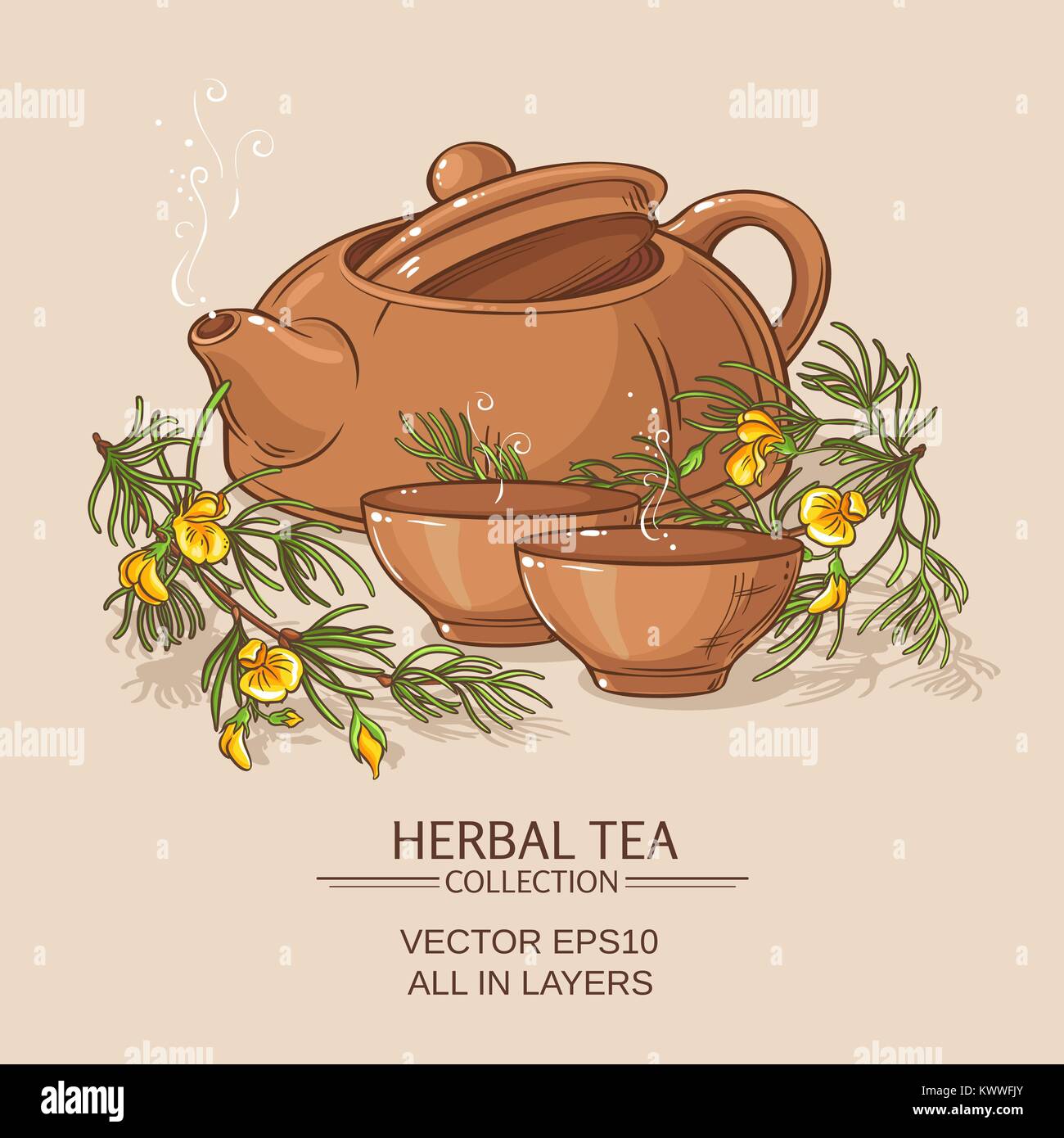 rooibos tea in teapot and tea bowls on color background Stock Vector