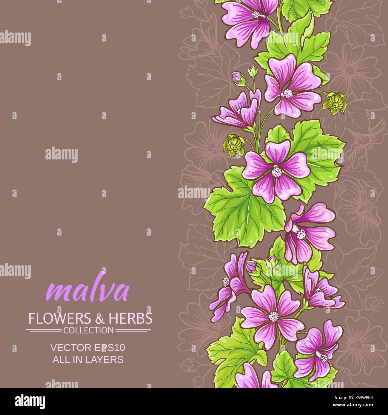 malva flowers vector pattern on color background Stock Vector