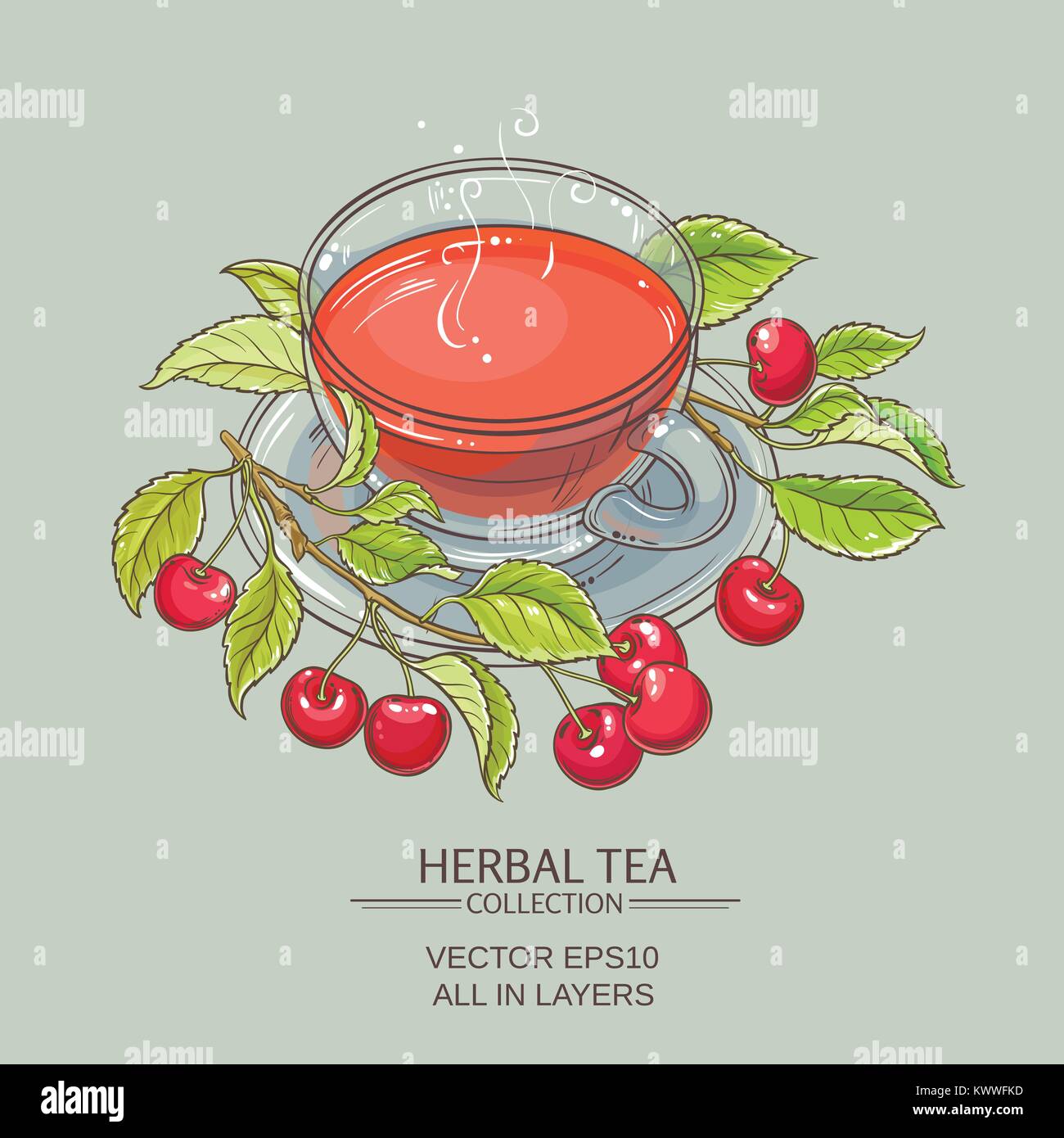 cup of cherry tea  on color background Stock Vector