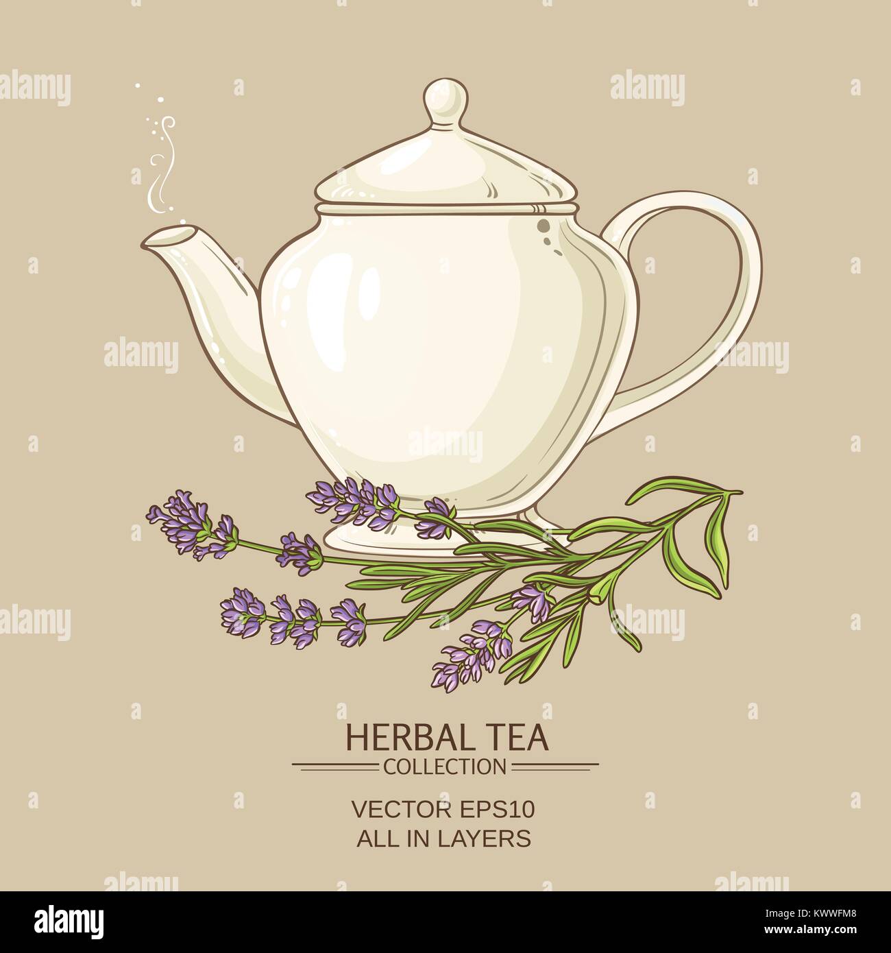 lavender tea in teapot on color backgrond Stock Vector