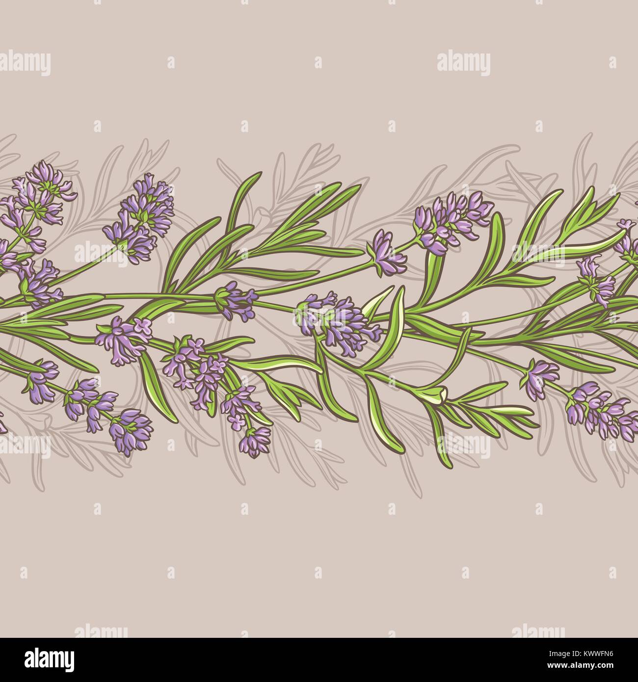 lavender flowers vector pattern on color background Stock Vector