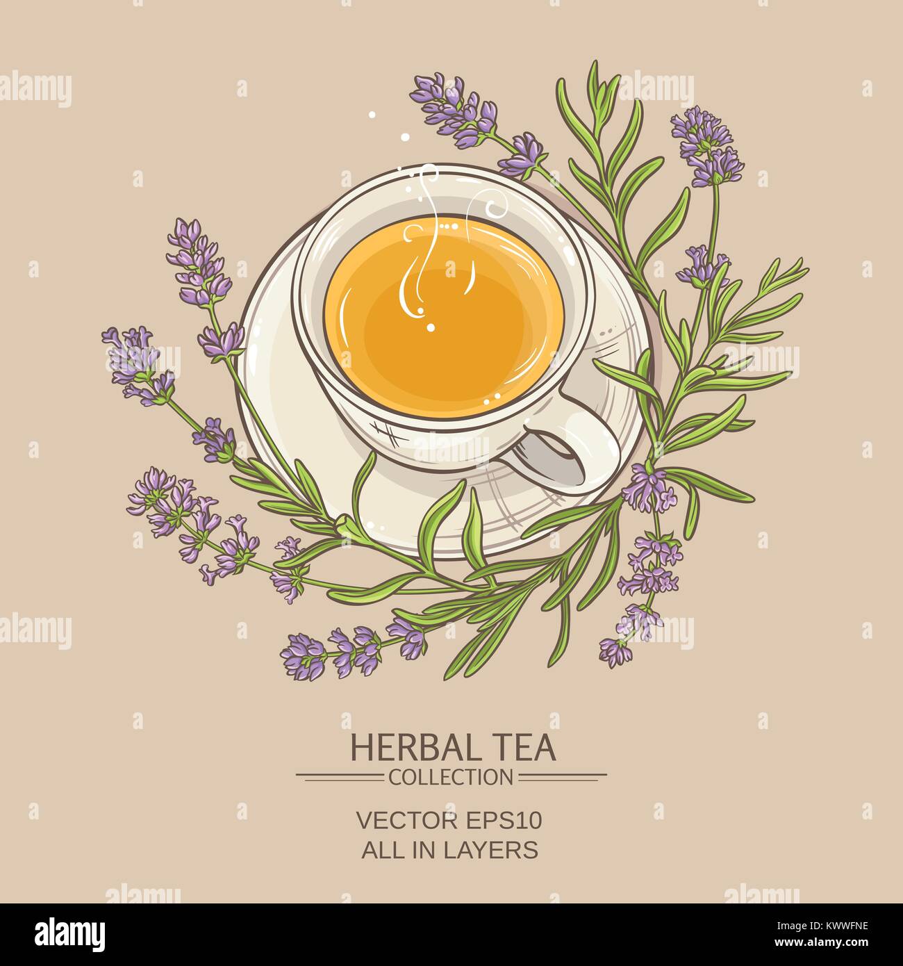 cup of lavender tea on color background Stock Vector