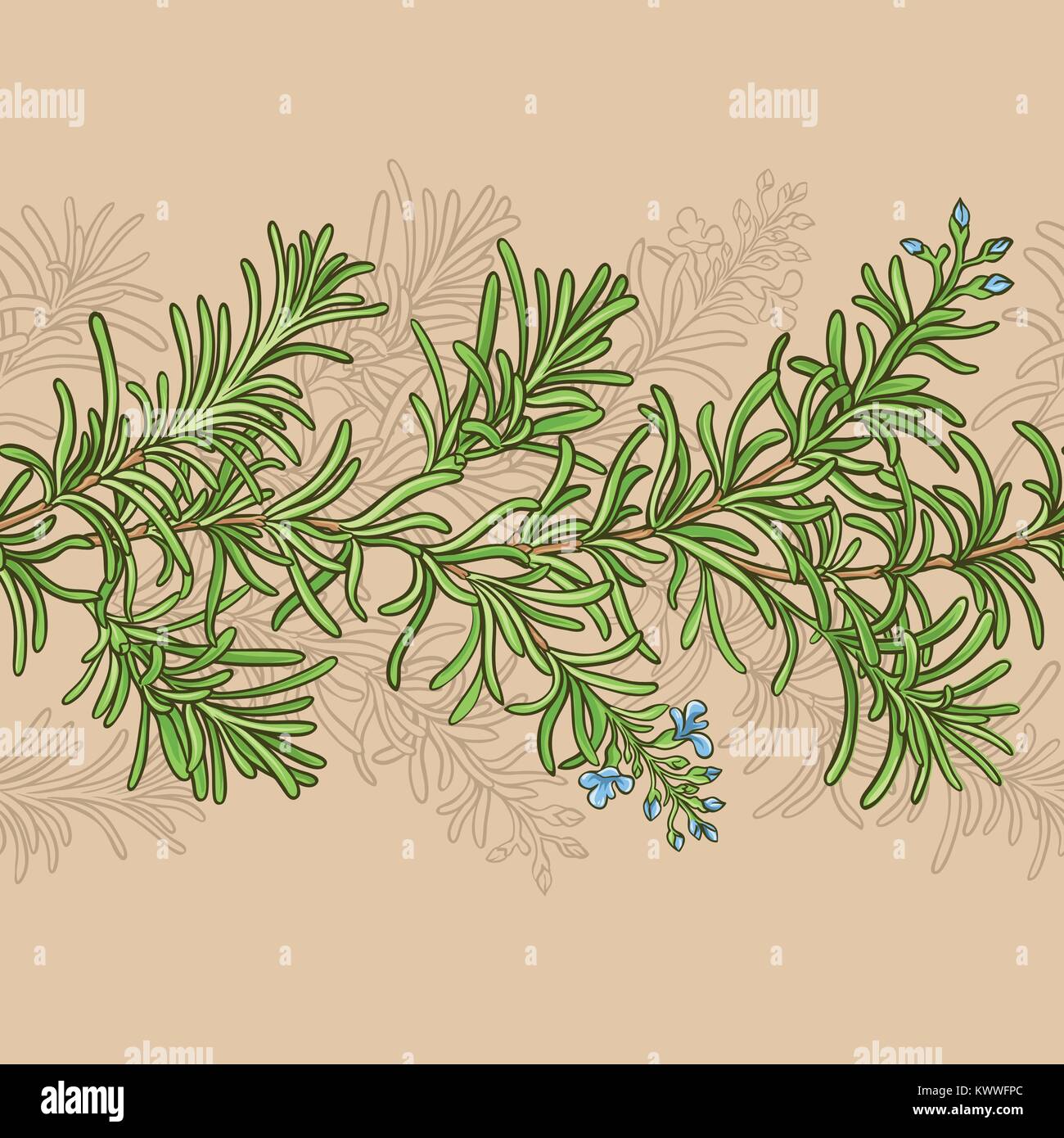 rosemary plant vector pattern on color background Stock Vector Image ...