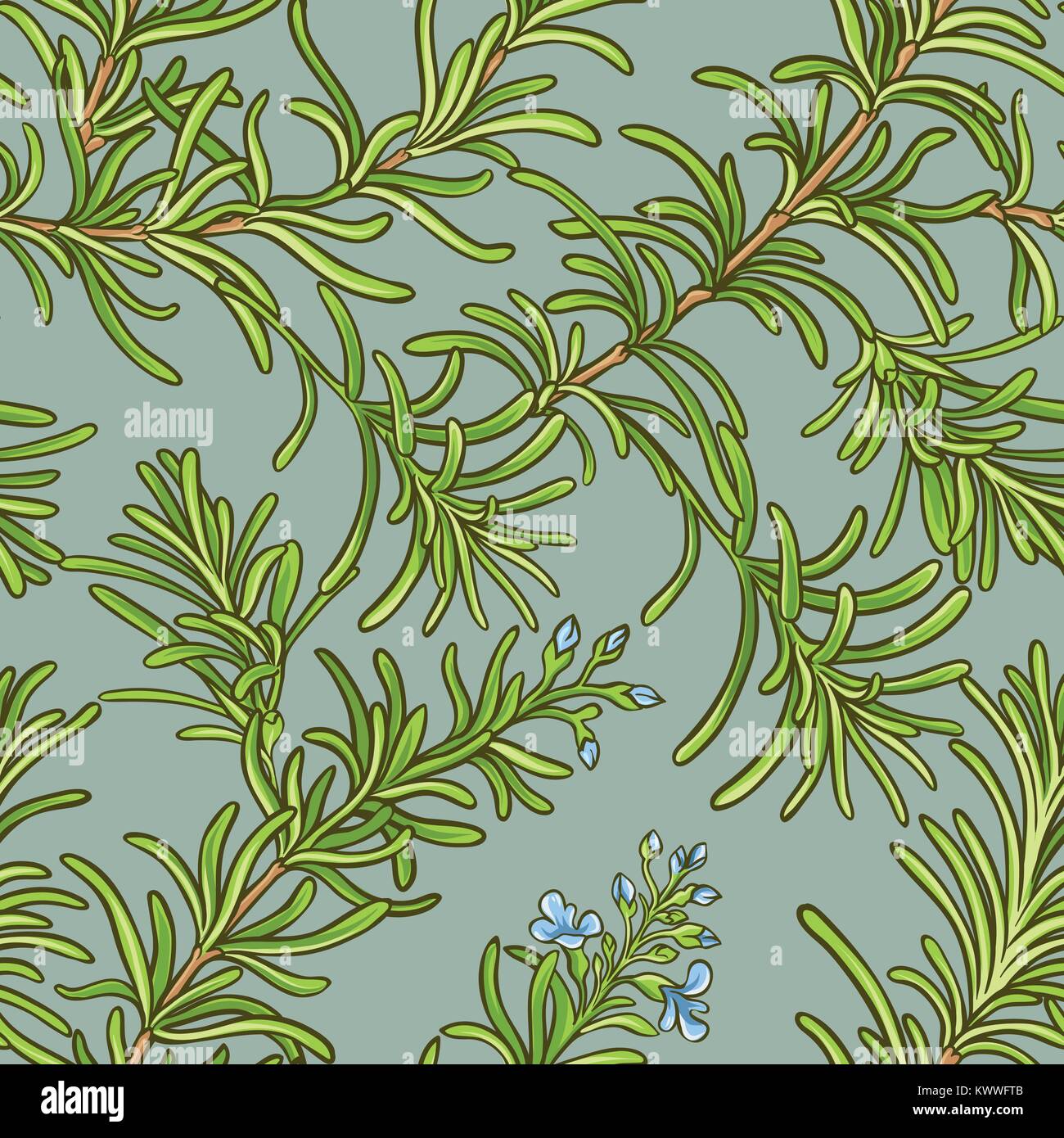 rosemary vector seamless pattern on color background Stock Vector Image ...