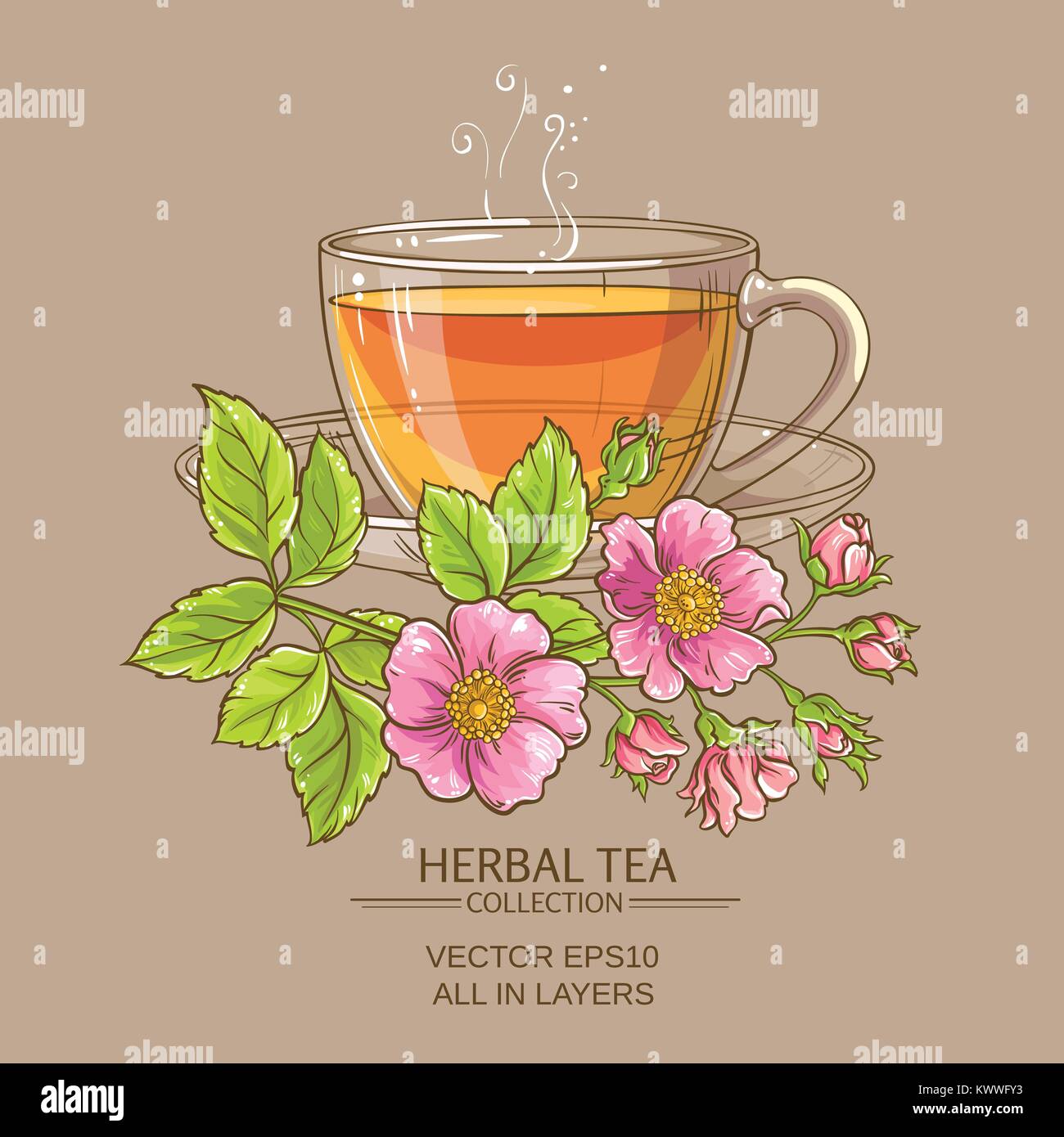 cup of dog rose tea on color background Stock Vector